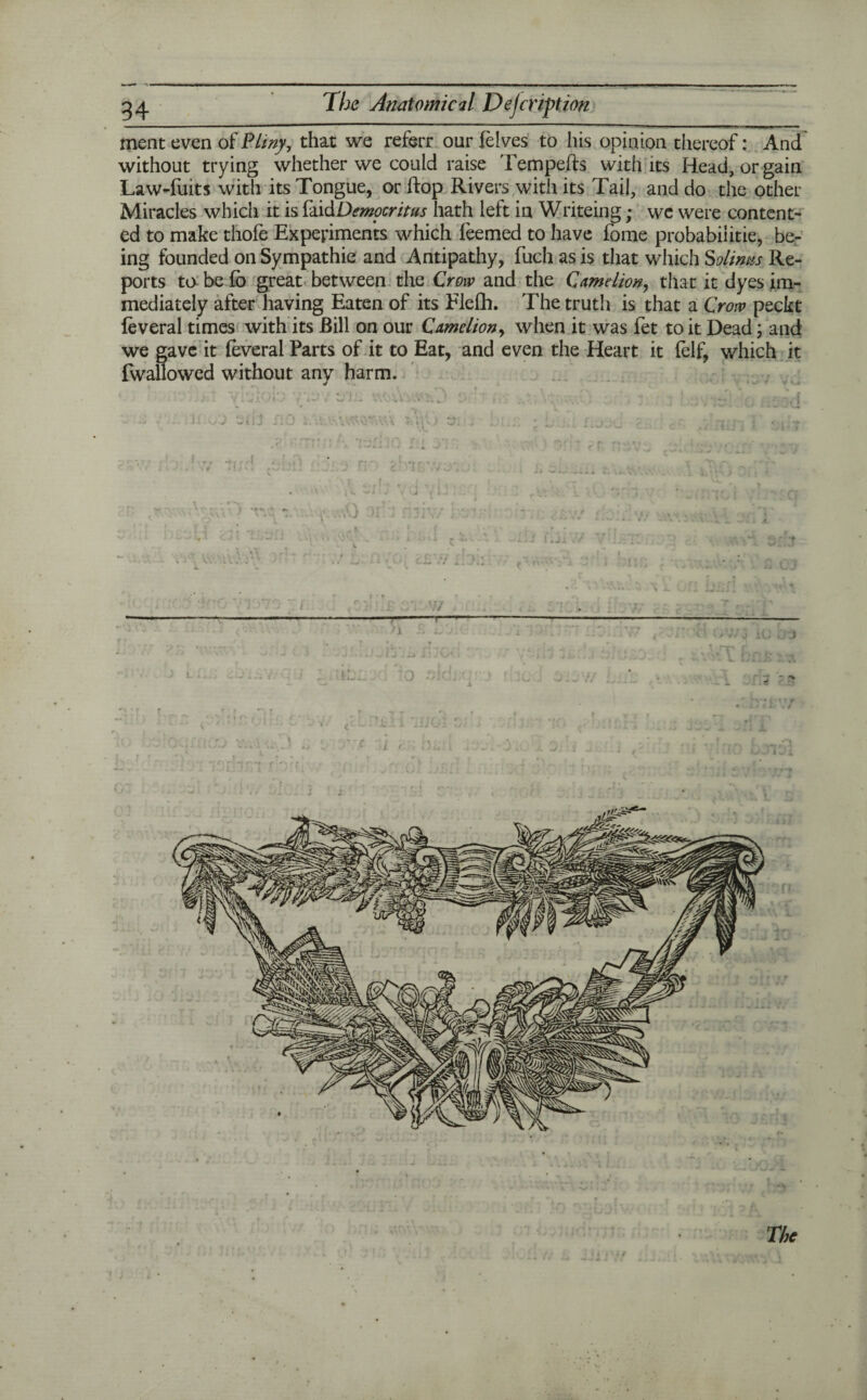 ment even of Pliny, that we referr our felves to his opinion thereof: And without trying whether we could raise Tempefts with its Head, or gain Law-fuits with its Tongue, or flop Rivers witli its Tail, and do the other Miracles which it is faidDemocritus hath left in Writeing; we were content¬ ed to make thofe Experiments which feemed to have Tome probability, be¬ ing founded on Sympathie and Antipathy, fuch as is that which Solimis Re¬ ports to be fb great between the Crow and the Camdion, that it dyes im¬ mediately after having Eaten of its Flefh. The truth is that a Crow peckt feveral times with its Bill on our Cumelion, when it was fet to it Dead j and we gave it feveral Parts of it to Eat, and even the Heart it felf, which it {wallowed without any harm.