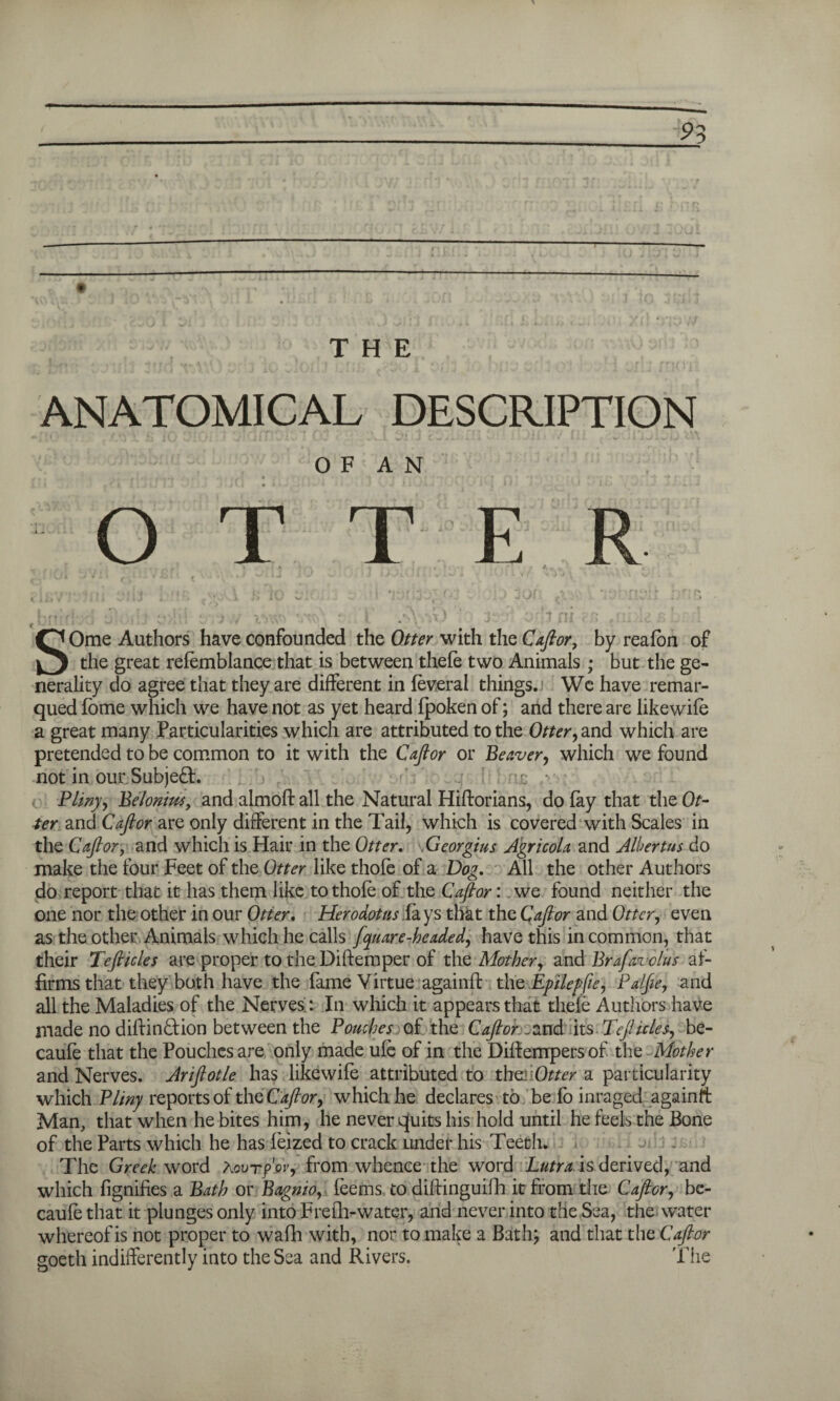 9~> ANATOMICAL DESCRIPTION 0 F A N r . .., • * • • * (■' •» -< • • t • i .4 ^ , » ' | • ' . J ' . ■ r 1 i • * ' '  * - • | ‘ ‘ 1 » * OTTER . O' i .J V A. » * *A J < f • J O' 1 i J * ' * o i * 4 # #* i I h I » . J/A i , ■ *| / \r •, '!<;»*. rii •• >■ • . f) r* SOme Authors have confounded the Otter with the C aft or, by realbn of the great relemblance that is between thefe two Animals ; but the ge¬ nerality do agree that they are different in feveral things. We have remar- qued home which we have not as yet heard Ipoken of; and there are likewife a great many Particularities which are attributed to the Otter, and which are pretended to be common to it with the Caftor or Beaver, which we found not in our Subject. £ ,• Pliny, Belonius, and almoft all the Natural Hiftorians, do fay that the Ot¬ ter and Caftor are only different in the Tail, which is covered with Scales in the Caftor, and which is Hair in the Otter. Georgius Agricola and Albertus do make the four Feet of the Otter like thofe of a Dog. All the other Authors do report that it has them like to thole of the Caftor: we found neither the one nor the other in our Otter. Herodotus lays that the Caftor and Otter, even as the other Animals which he calls [quare-headed, have this in common, that their Tefticles are proper to the Diftemper of the Mother, and Brafavolus af¬ firms that they both have the fame Virtue againft the Epilegfte, Palfte, and all the Maladies of the Nerves.: In which it appears that thefe Authors have made no diftindion between the Pouches of the Caftor . and its Tefticles, be- caufe that the Pouches are only made ufe of in the Diffempers of the Mother and Nerves. Ariftotle has likewife attributed to thei Otter a particularity which Pliny reports of the Caftor, which he declares to be fo inraged againft Man, that when he bites him, he never quits his hold until he feels the Bone of the Parts which he has feized to crack under his Teeth. The Greek word AcurpW, from whence the word Lutra is derived, and which fignifies a Bath or Bagnio, feems to dilfinguifh it from the Caftor, be- caufe that it plunges only into FreHi-water, and never into the Sea, the water whereof is not proper to wafh with, nor to make a Bath; and that the Caftor goeth indifferently into the Sea and Rivers. The