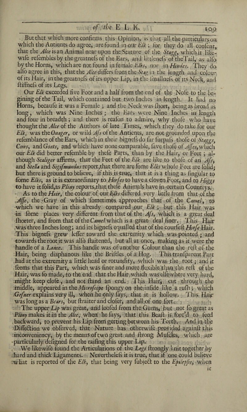 which the Antients do agree, are found in-our Elk ; for they do all confent, that the Alee is an Animal near upon the Stature of the Stagg, which it like- wife refembies by the greatnefs of the Ears, and litdenefs oftheTail, as alfo by the Horns, which are not found in female Elks, nor mHwdes. They da alfo agree in this, that the Alee differs from the Stag in the length and colour of its Hair, in the greatnefs of its upper Lip, in the 1 mallnefs of its Neck and ftiffnefs of its Legs. Our Elk exceeded five Foot and a half from the end of the Nofe to the be- gining of the Tail, which contained but two Inches in length. It had no Horns, becaufe it was a Female ; and the Neck was fhort, being as broad as long, which was Nine Inches ; the Ears were Nine Inches in length and four in breadth ; and there is reafon to admire, why thofe who have thought the Alee of the Authors of late Times, which they do take for our Elk, was xhz Onager, or wild Afs of the Antients, are not grounded upon the refemblance of the Ears, which in their bignefs do far fur pals thofe of Staggs, Cows, and Goats, and which have none comparable, lave thofe of Ajfes, which our Elk did better refemble by thefe Parts, than by the Hair, or Feet ; al¬ though Sc&liger affirms, that the Feet of the Elk are like to thofe of an Afs, and Stella and Sigifmmdus report,that there are fome Elks whole Feet are folid; but there is ground to believe, if this is true, that it is a thing as lingular to fome Elks, as it is extraordinary to Horfes to have a cloven Foot, and to Hoggs to have it folid,as Pliny reports,that thefe Animals have in certain Countrys. As to the Hair, the colour of our Elks differed very little from that of the AJfe, the *Gray of which fometimts approaches that of the Camel, to which we have in this already compared jpur Elk ; but this Hair was in fome places very different from that of the Afs, which is a great deal fhorter, and from that of the Camel which is a great deal finer. This* Hair was three Inches long; and its bignefs equalled that of the courfeft Horfe Hair. This bignefs grew leffer toward the extremity which was pointed ; and towards the root it was alfo ifaitened, but all at once, making as it .were the handle of a Lance. This handle was of another Colour than the reft of the Hair, being diaphanous like the Briff les, of a Hog. This tranfparent Part had at the extremity a little head or rotundity, which was the root; and it feems that this Part, which was finer and more flexiblefthairthe reft of the Hair,-was fo made, to the end that the Hair which was elfe where very hard, might keep dole , and not Hand an end. This Haiti* cut through the middle, appeared in the Microfcope fpongyon the; in fide like a rufh ; which .Gefner explains very iO, when he only fays, that it is hollo\y>. This Hak was long as a Bears, but ftraiter and clofer, and all of one, fort o.; ? f The upper Lip was great* and looted from the: Gums*!hut not fo great as Pliny makes it in the Alee, wheat he fays, that this Beaft is forc’d to feed backward, to prevent his Lip from getting between his Teeth.- And in the DifleHion we obferved, that Nature has other wife provided againff this inconveniency, by the means of two great and ftrong Mufcjes., which are -particularly defigned for the railing this upper Lip. We likewife found the Articulations of the Legs ftrongly knit together by Jiard and thick Ligaments. Neverthelefs it is true, that if one could believe what is reported of the Elk, that being very fubjed to the Epilepfe, when