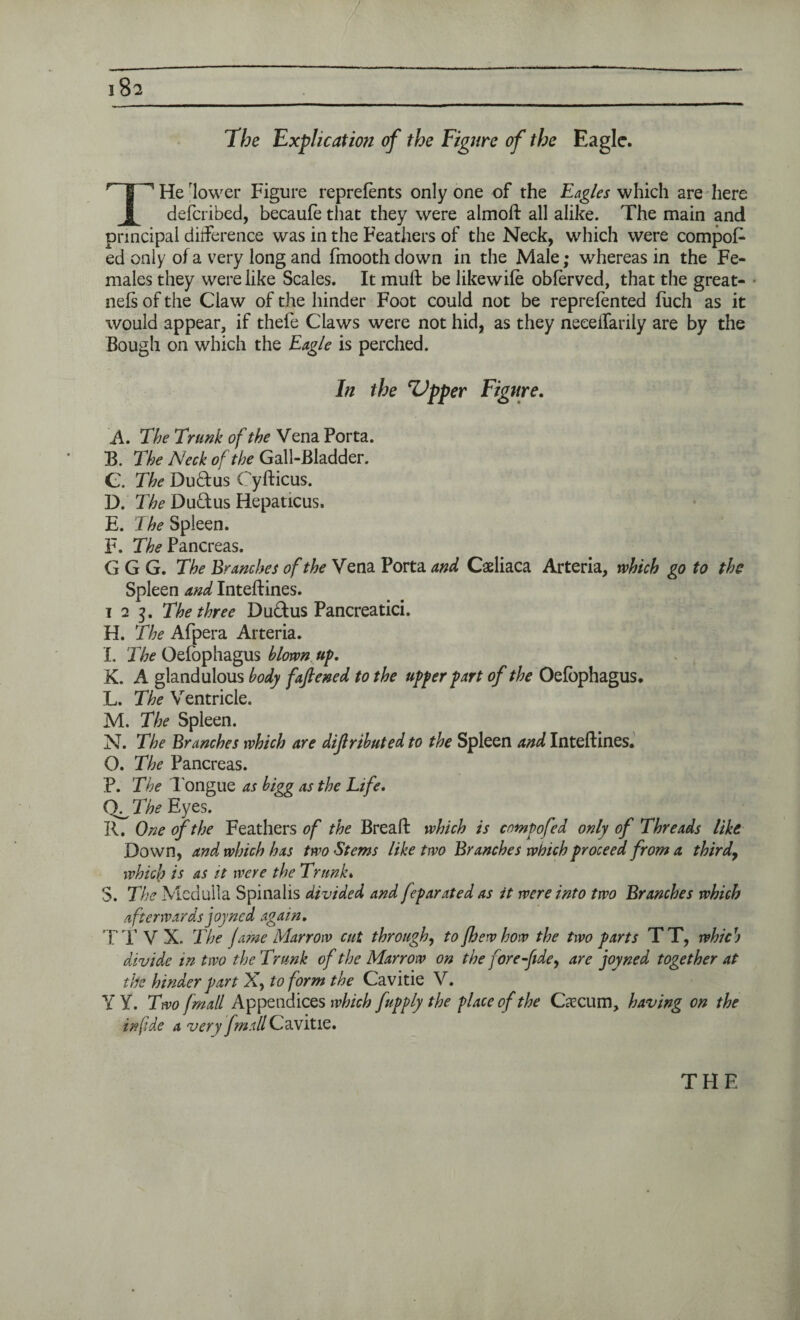 The Explication of the Figure of the Eagle. T He lower Figure reprefents only one of the Eagles which are here deferibed, becaufe that they were almoft all alike. The main and principal difference was in the Feathers of the Neck, which were compos¬ ed only of a very long and fmooth down in the Male; whereas in the Fe¬ males they were like Scales. It muft be likewile obferved, that the great- nels of the Claw of the hinder Foot could not be reprefented fiich as it would appear, if thefe Claws were not hid, as they neeelfarily are by the Bough on which the Eagle is perched. In the Tipper Figure. A. The Trunk of the Vena Porta. B. The Neck of the Gall-Bladder. C. The Dudus Cyfticus. D. The Du&us Hepaticus. E. The Spleen. F. The Pancreas. G G G. The Branches of the Vena Porta and Caeliaca Arteria, which go to the Spleen and Inteftines. 123. The three Dudtus Pancreatici. H. The Afpera Arteria. I. The Oelbphagus blown, up K. A gland ulous body faftened to the upper part of the Oefophagus. L. The Ventricle. M. The Spleen. N. The Branches which are dijlributed to the Spleen and Inteftines. O. The Pancreas. P. The longue as bigg as the Life. The Eyes. R. One of the Feathers of the Bread: which is enmpofed only of Threads like Down, and which has two Stems like two Branches which proceed from a thirdy which is as it were the Trunk. S. The Medulla Spinalis divided and feparated as it were into two Branches which afterwards joyned again. TT V X. The fame Marrow cut through, to [hew how the two parts TT, which divide in two the Trunk of the Marrow on the fore-fide y are joyned together at the hinder part X, to form the Cavitie V. Y Y. Two /mall Appendices which fupply the place of the Caecum, having on the infide a very fm.illCldXLtlQ.