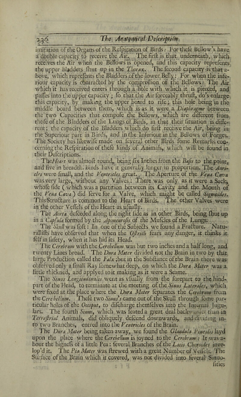 imitation of the Organs of the Refpffation of Birds; For theff Bellow's have a double capacity to receive the Air.. The firft is that underneath, which receives the Air when the Bellows Is ~opened, and this capacity repreffnts the upper bladders fhut up in the Thorax. The fecond capacity is-that a- bove, which reprefents the Bladders pf the lower Belly: For when the infe- riour capacity is contracted by the conjprefiion of the Bellows; The Air which it has received enters through a hole with which it is pierced, and pailes into the upper capacity ; fo that the Air forceably thruft, do’s enlarge this capacity, by making the upper board to rife; this hole being in the middle board between them, which is as it were a Diaphragme between the two Capacities that compoff the Bellows,, which are different from thole of the Bladders of the Lungs of Birds, in that their fituation is diffe¬ rent; the capacity of the Bladders which do . firft receive the Air, being in the Superiour part in B irds, and in the Inferiour in the Bellows of Forges. The Society has likewjff made on ffyeral other Birds home Remarks cop- cerningthe . Refpiration of theff kinds of Animals, which will be found in their Defcriptions. ThMe Art was almoft round,, being Fix Inches from the Bafts to the point, and five in breadth. Birds have'it generally longer in proportion. The - Auri¬ cles were finall, and the Ventricles. great,,- The Aperture of the Vena Cava was very large, without any Valves : There was only as it were a Sack, whole fide ( which was a partition between its Cavity .and the. Mouth of the Vena Cava ) did ffrve for a Valve, which might be called Sigmoides. This Structure is common to the Heart of Birds. The other Valves were in the other Veffels of the Heart as. ufually. The Aorta dcfceded along the right fide as in other Birds, being fhut up in a CapftuL formed by the Aponeurofts of the Muffles of the Lungs. The Skull;was foft: In one of the Subjects we found a Fracture. Natu- rallifts have obffrved that when the OJlricb fears any danger, it thinks it ff If in lafety, when it has hid its Head. The Cerebrum with the Cerebellum was but two inches and a half long, and twenty Lines broad. The Dura Mater divided not the Brain in two by that large Production called the Falx ;but in the Subfiance of the Brain- there was oblerved only a fmall Ray fome what deep, on which the Dura Mater was a little thickned, and apply ed to it making as it were a Seame. The Sinus Longitudinals went as vfually from the forepart to the hind- part of the Head, to terminate at the meeting of the Sinus Later ales, which were fixed at the place where the Dura Mater ff parates the Cerebrum from the Cere helium. Theff two Sinus s came out of the Skull through ffme par¬ ticular holes of the Occiput, to diffharge themfflves into the Internal jugu¬ lars. The fourth Sinus, which was leated a great deal backwgrmr than in Terreftrial Animals, did obliquely deffend downwards, and dividing in- to two Branches, entred into the Ventricles of the Brain. The Dura Mater being taken away, we found the Glandula Vmeahs layd upon the place where the Cerebellum is joyned to the Cerebrum : It was a- bouc the bignefs of a little Pea: ffveral Branches of the Lads Choroides inve- lop'd it. The Pia Mater was ftrewed with a great Number of Veifels. The Surface of the Brain which it covered, was not divided into ffveral Sinuo- fities