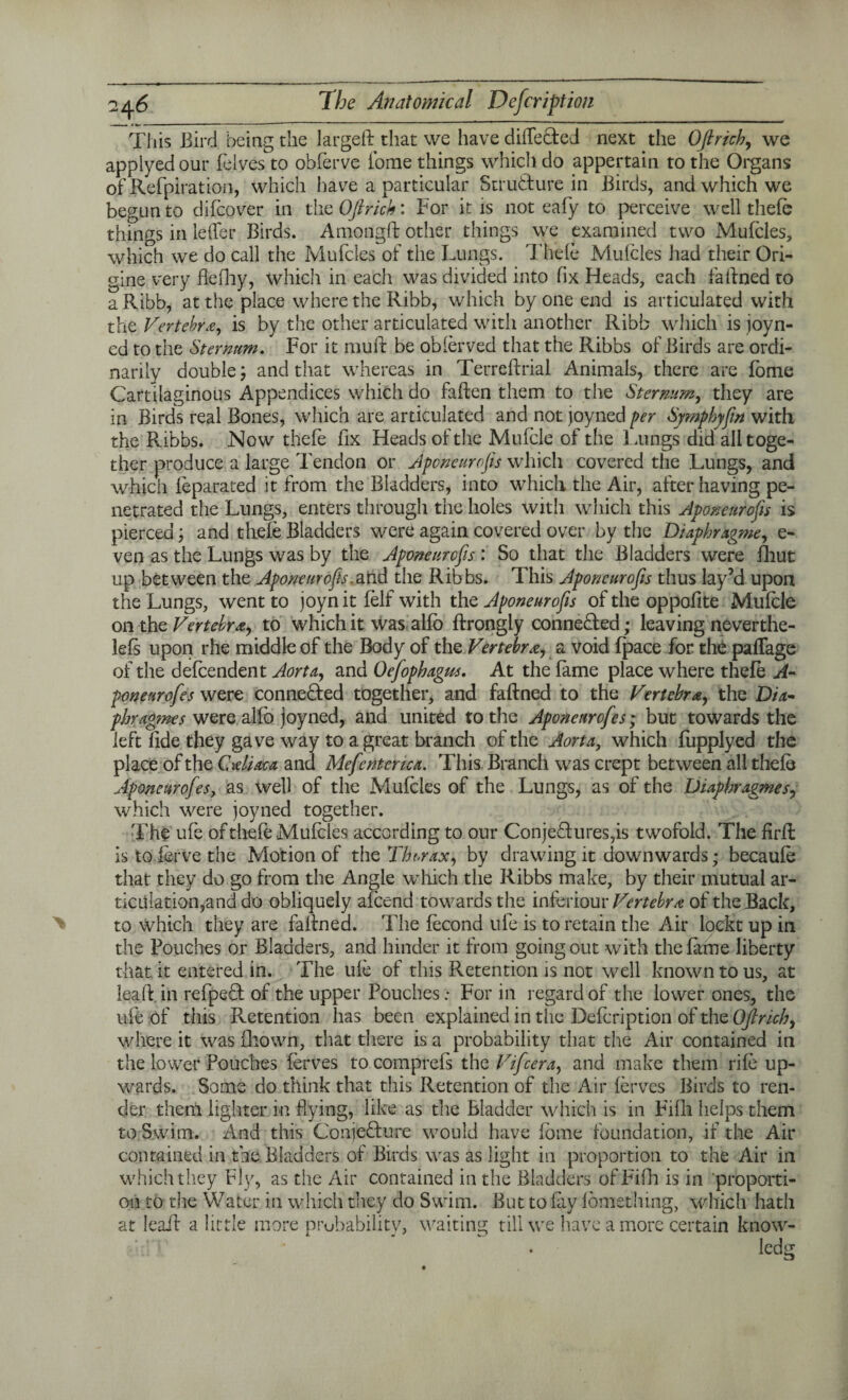 This Bird being the largeft that we have differed next the Ofirich, we applyed our leives to obferve fome things which do appertain to the Organs of Refpiration, which have a particular Structure in Birds, and which we begun to difcover in the Oft rick: For it is not eafy to perceive well thefe things in letter Birds. Amongft other things we examined two Mufcles, which we do call the Mufcles of the Lungs. Thele Mulcles had their Ori- gine very flcfhy, which in each was divided into fix Heads, each fa fined to a Ribb, at the place where the Ribb, which by one end is articulated with the Vertebra, is by the other articulated with another Ribb which is joyn- ed to the Sternum. For it mull be obierved that the Ribbs of Birds are ordi¬ narily double j and that whereas in Terreftrial Animals, there are fome Cartilaginous Appendices which do fatten them to the Sternum, they are in Birds real Bones, which are articulated and not joyned per Symphyfin with the Ribbs. Now thefe fix Heads of the Mufcle of the 1 .tings did all toge¬ ther produce a large Tendon or Aponeurofis which covered the Lungs, and which feparated it from the Bladders, into which the Air, after having pe¬ netrated the Lungs, enters through the holes with which this Aponeurofis is pierced; and thele Bladders were again covered over by the Dzaphragme, e- ven as the Lungs was by the Aponeurofis : So that the Bladders were fliut up between the Aponeurofis.atid the Ribbs. This Aponeurofis thus lay’d upon the Lungs, went to joyn it lelf with the Aponeurofis of the oppofite Mulcle on the Vertebra, to which it was alio ftrongly conne&ed; leaving neverthe- lefs upon rhe middle of the Body of the Vertebra, a void fpace for the paffage of the defcendent Aorta, and Oejophagm. At the lame place where thefe A- poneurofes were connected together, and faftned to the Vertebra, the Dia¬ phragms were alio Joyned, and united to the Aponeurofes; but towards the left fide they gave way to a great branch of the Aorta, which fupplyed the place of the Cteliaca and Mefentenca. This Branch was crept between all thele Aponettrofes, as well of the Mulcles of the Lungs, as of the Diaphragmes, which were joyned together. The ufe of thefe Mufcles according to our ConjeTures,is twofold. The firtt: is to ferve the Motion of the Thorax, by drawing it downwards; becaufe that they do go from the Angle which the Ribbs make, by their mutual ar¬ ticulation,and do obliquely afeend towards the inferiour Vertebra of the Hack, to which they are fattned. The lecond ufe is to retain the Air loekt up in the Pouches or Bladders, and hinder it from going out with the lame liberty that it entered in. The ule of this Retention is not well known to us, at lea ft in refpeCt of the upper Pouches: For in regard of the lower ones, the ule of this Retention has been explained in the Defcription of the Ofirich, where it was Blown, that there is a probability that the Air contained in the lower Pouches lerves tocomprels the Vifcera, and make them rile up¬ wards. Some do think that this Retention of the Air lerves Birds to ren¬ der them lighter in flying, like as the Bladder which is in Fifli helps them to Swim. And this Conjecture would have lome foundation, if the Air contained in the Bladders of Birds was as light in proportion to the Air in which they Fly, as the Air contained in the Bladders of Fifli is in proporti¬ on to the Water in which they do Swim. But to lay lomething, which hath at Icail a little more probability, waiting till we have a more certain know- . ledg