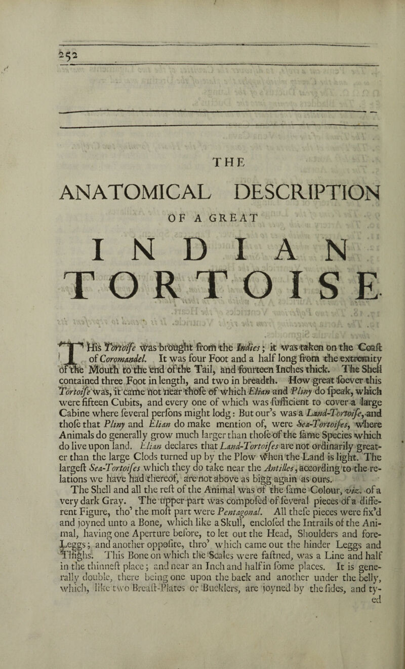 ANATOMICAL DESCRIPTION OF A GREAT INDIAN TORTOISE ^ Mis Twt'o'ife Was brought from‘the Mies; it was taken on the Coaft f of Coromandel. It was four Foot and a half long from the extremity ofthe Mouth to the end of the Tail, and fourteen Inches thick. The Shell contained three Foot in length, and two in breadth. How great ibever this TortoifeXvzSy it'cattle not near t'hofe of which Elian and -Ptitty do fpea'k, which were fifteen Cubits, and every one of which was -fufftcient to cover a ‘large Cabine where feveral perlons might lodg: But our’s was a Land-Tortoifeyand thole that Pliny and Elian do make mention of, were &ea-Tortoifes, Where Animals do generally grow much larger than thole of the lame Species which do live upon land. Elian declares that Land-Tortoifes are not ordinarily great¬ er than the large Clods turned up by the Plow When‘the Land is light. The largeft Sea-Tortoifes which they do take near the Antilles, according to the re¬ lations we have had thereof, are'not above as bigg again as ours. The Shell and all the reft of the Animal was of the fame Colour, viz. of a very dark Gray. The Upper part was compofed of feveral pieces of a diffe¬ rent Figure, tho’ the molt part were Pentagonal. All thefe pieces were fix’d and joyned unto a Bone, which like a Skull, enclofed the Intrails of the Ani¬ mal, having one Aperture before, to let out the Head, Shoulders and fore- Leggs; and another oppofite, thro’ which came out the hinder Leggs and Thighs. This Bone on which the Scales were faftned, was a Line and half in the thinneft place; and near an Inch and half in fbme places. It is gene¬ rally double, there being one upon the back and another under the belly, which, like two BreaiKPiates or Bucklers, are joyned by theftdes, and ty- ed