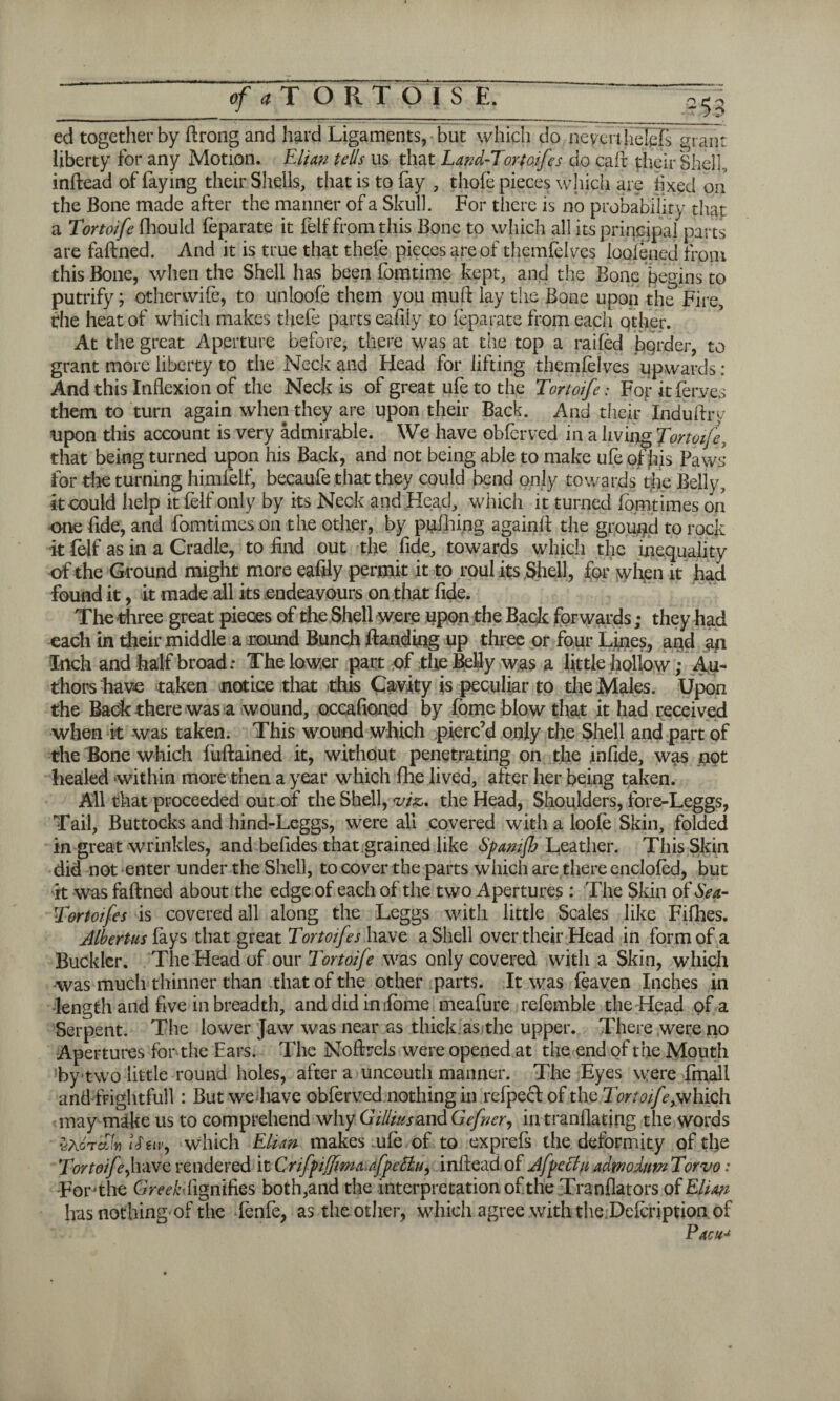 ed together by ftrongand hard Ligaments, but which do heyeri helpfs grant liberty for any Motion. Elian tells us that Land-Tortoifes do caft their Shell, inftead of faying their Shells, that is to fay , thole pieces which are fixed on the Bone made after the manner of a Skull. For there is no probability that a Tortoife fhould feparate it felf from this Bone to which all its principal parts are faftned. And it is true that thefe pieces are of themfelves loofened from this Bone, when the Shell has been fomtime kept, and the Bone begins to putrify; otherwife, to unloofe them you muft lay the Bone upon the Fire, the heat of which makes thefe parts eafily to feparate from each qther. At the great Aperture before, there was at the top a railed border, to grant more liberty to the Neck and Head for lifting themfelves upwards: And this Inflexion of the Neck is of great ufe to the Tortoife: For it ferves them to turn again when they are upon their Back. And their Induftry upon this account is very admirable. We have obfcrved in a living Tortoife, that being turned upon his Back, and not being able to make ufe of his Paws for die turning himfelf, becaufe that they could bend only towards t,he Belly, it could help it felf only by its Neck and Head, which it turned fomtimes on one fide, and fomtimes on the other, by pulhing again!! the ground to rock it felf as in a Cradle, to find out the fide, towards which the inequality of the Ground might more eafily permit it to roul its,Shell, for when it had found it, it made all its endeavours on that fide. The three great pieces of the Shell were upon the Back forwards; they had each in their middle a round Bunch handing up three or four Lines, and an Inch and half broad: The lower part of the Belly was a little hollow; Au¬ thors have taken notice that this Cavity is peculiar to the Males. Upon the Back there was a wound, occafioned by fbme blow that it had received when k was taken. This wound which pierc’d only the Shell and part of the Bone which luftained it, without penetrating on the infide, was .pot healed within more then a year which fhe lived, after her being taken. All that proceeded out of the Shell, viz,, the Head, Shoulders, fore-Leggs, Tail, Buttocks and hind-Leggs, were all covered with a loofe Skin, folded in great wrinkles, and befides that grained like Spamfh Leather. This Skin did not enter under the Shell, to cover the parts which are there enclofed, but it was faftned about the edge of each of the two Apertures : The Skin of Sea- Tortoifes is covered all along the Leggs with little Scales like Fifhes. Albertus fays that great Tortoifes have a Shell over their Head in form of a Buckler. The Head of our Tortoife was only covered with a Skin, which •was much thinner than that of the other parts. It was leaven Inches in length and five in breadth, and did in dome meafure refemble the Head of a Serpent. The lower Jaw was near as thick as the upper. There were no Apertures for the Ears. The Noftrels were opened at the end of the Mouth by two little round holes, after a uncouth manner. The Eyes were fmall and frightfull: But we have obferved nothing in refpeeft of the Tortoife ,ythich may m^ke us to comprehend why Gilliusand Gefner, in translating the words iStivy which Elian makes .ufe of to exprefs the deformity of the Tortoifeyhave rendered it Crifpijfima of pc tin, inftead of Afpechi admodum Torvo: For'the Greek dignifies both,and the interpretation of the Tranflators of Eliott has nothing-of the fenfe, as the other, which agree with the Deftription of Pacu'1