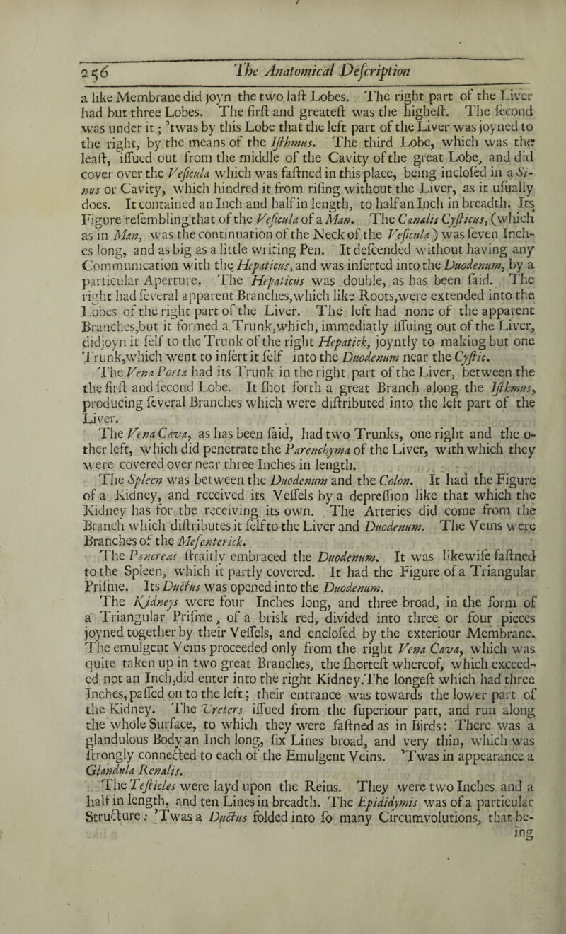 a like Membrane did joyn the two laft Lobes. The right part of the Liver had but three Lobes. The fir ft and greateft was the higheft. The fecond was under it; ’twas by this Lobe that the left part of the Liver was joyned to the right, by the means of the IJlhmus. The third Lobe, which was the lead, ilfued out from the middle of the Cavity of the great Lobe, and did cover over the Veficula which was faftned in this place, being inclofed in a Si¬ nus or Cavity, which hindred it from rifing without the Liver, as it ufualiy does. It contained an Inch and half in length, to half an Inch in breadth. Its Figure refemblingthat of the Veficula of a Man. The Canal is Cyfiicus, (which as in Man, was the continuation of the JMeck of the Veficula ) was feven Inch- cs long, and as big as a little writing Pen. It defeended without having any Communication with the Hepaticus, and was inlerted into the Duodenum, by a particular Aperture. The Hepaticus was double, as has been laid. The right had feveral apparent Branches,which like Roots,were extended into the Lobes of the right part of the Liver. The left had none of the apparent Branches,but it formed a Trunk,which, immediatly ifTuing out of the Liver, did joyn it fell’ to the Trunk of the right Hepatick, joyntly to making but one Trunk,which wrent to infert it felf into the Duodenum near the Cyfiic. The Vena Porta had its drunk in the right part of the Liver, between the the firft and fecond Lobe. It fliot forth a great Branch along the IJlhmus, producing feveral Branches which were diftributed into the left part of the Liver. The Vena Cava, as has been faid, had two Trunks, one right and the o- ther left, which did penetrate the Parenchyma of the Liver, with which they were covered over near three Inches in length. The Spleen was between the Duodenum and the Colon. It had the Figure of a Kidney, and received its Veffels by a deprefiion like that which the Kidney has for the receiving its own. The Arteries did come from the Branch which diftributes it felf to the Liver and Duodenum. The Veins were Branches of the MeJenterick. The Pancreas fcraitly embraced the Duodenum. It was hkewife faftned to the Spleen, which it partly covered. It had the Figure of a Triangular Prifme. Its Duel us was opened into the Duodenum. The Kjdneys were four Inches long, and three broad, in the form of a Triangular Prifme of a brisk red, divided into three or four pieces joyned together by their Veffels, and enclofed by the exteriour Membrane. The emulgent Veins proceeded only from the right Vena Cava, which was quite taken up in two great Branches, the fhorteft whereof, which exceed-* ed not an Inch,did enter into the right Kidney.The longeft which had three Inches, palled on to the left; their entrance was towards the lower part of the Kidney. The 'Ureters iffued from the fuperiour part, and run along the whole Surface, to which they were faftned as in Birds: There was a glandulous Body an Inch long, fix Lines broad, and very thin, which was ftrongly connected to each of the Emulgent Veins. ’Twas in appearance a Glandula Renalis. The TeJHcles were layd upon the Reins. They were two Inches and a half in length, and ten Lines in breadth. The Epididymis was of a particular Structure: ’Twas a Ductus folded into fo many Circumvolutions, that be¬ ing