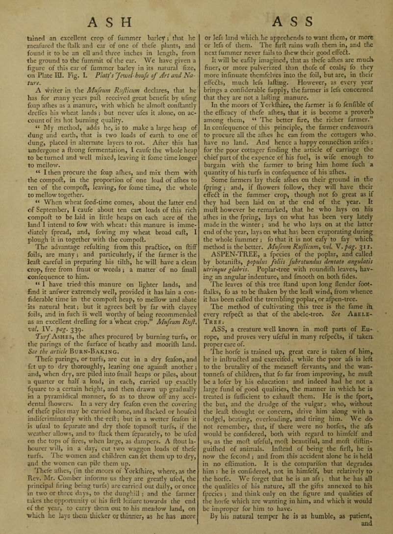 tained an excellent crop of fummer barley; that be rneafured the ftalk and ear of one of thefe plants, and found it to be an ell and three inches in length, from the ground to the fummit of the ear. We have given a figure of this ear of fummer barley in its natural fize, on Plate HI. Fig. I. Platt's 'Jewel- houfe of Art and Na¬ ture. A writer in the Mufeum Rif 1 cum declares, that he has for many years part received great benefit by ufing foap afhes as a manure, with which he almoft conftantly drefies his wheat lands ; but never ufes it alone, on ac¬ count of its hot burning quality. “ My method, adds he, is to make a large heap of dung and earth, that is two loads of earth to one of dung, placed in alternate layers to rot. After this has undergone a ftrong fermentation, I caufethe whole heap to be turned and well mixed, leaving it fome time longer to mellow. “ I then procure the foap afhes, and mix them with the comport, in the proportion of one load of allies to ten of the comport, leaving, for fome time, the whole to mellow together. “ When wheat feed-time comes, about the latter end of September, I caufe about ten cart loads of this rich comport to be laid in little heaps on each acre of the land I intend to fow with wheat: this manure is imme¬ diately fpread, and, fowing my wheat broad cart, I plough it in together with the comport. The advantage refulting from this pra£lice, on ftiff foils, are many ; and particularly, if the farmer is the leaft careful in preparing his tilth, he will have a clean crop, free from fmut or weeds; a matter of no finall conlequence to him. “ I have tried this manure on lighter lands, and find it anfwer extremely well, provided it has lain a con¬ siderable time in the comport heap, to mellow and abate its natural heat; but it agrees beft by far with clayey foils, and in fuch is well worthy of being recommended as an excellent drefiing for a wheat crop.” Mufeum Ruf. vol. IV. pag. 339. Tb?yAsHES, the afhes procured by burning turfs, or the parings of the furface of heathy and moorifh land. See the article Burn-Baking. Thefe parings, or turfs, are cut in a dry feafon, and fct up to dry thoroughly, leaning one againft another; and, when dry, are piled into fmall heaps or piles, about a quarter or half a load, in each, carried up exactly fquare to a certain height, and then drawn up gradually in a pyramidical manner, fo as to throw off any acci¬ dental (bowers. In a very dry feafon even the covering of thefe piles may be carried home, and flacked or houfed indifcriminately with the reft; but in a wetter feafon it is ufual to feparate and dry thofe topmoft turfs, if the weather allows, and to flack them feparately, to be ufed on the tops of fires, when large, as dampers. A flout la¬ bourer will, in a day, cut two waggon loads of thefe turfs. The women and children can let them up to dry, and the women can pile them up. Thefe afhes, (in the moors of Yorkfhire, where, as the Rev. Mr. Comber informs us they are greatly ufed, the principal firing being turfs) are carried out daily, or once in two or three days, to the dunghill; and the farmer takes the opportunity of his firfl leifure towards the end of the year, to carry them out to his meadow land, on which he lays them thicker or thinner, as he has more or lefs land which, he apprehends to want them, or more or lefs of them. The firfl rains wafli them in, and the next fummer never fails to fhew their good effe£l. It will be eafily imagined, that as thefe afhes are much, finer, or more pulverized than thofe of coals, fo they more infinuate themfelves into the foil, but are, in their effecfls, much lefs lading. However, as every year brings a confiderable fupply, the farmer is lefs concerned that they are not a lading manure. In the moors of Yorkrtiire, the farmer is fo fenfible of the efficacy of thefe afhes, that it is become a proverb among them, “ The better fire, the richer farmer.” In confequence of this principle, the farmer endeavours to procure all the allies he can from the cottagers who have no land. And hence a happy connexion arifes ; for the poor cottager finding the article of carriage the chief part of the expence of his fuel, is wife enough to bargain with the farmer to bring him home fuch a quantity of his turfs in confequence of his afhes. Some farmers lay thefe afhes on their ground in the fpring ; and, if fhowers follow, they will have their effedl in the fummer crop, though not fo great as if they had been laid on at the end of the year. It mull however be remarked, that he who lays on his afhes in the fpring, lays on what has been very lately made in the winter ; and he who lays on at the latter end of the year, lays on what has been evaporating during the whole fummer ; fo that it is not eafy to fay which method is the better. Mufewn Ruficum, voL V. pag. 31 r. A.SPEN-TR.EE, a fpecies of the poplar, and called by botanifts, populus foliis fubrotundus dentato angulatis utrinque glabris. Poplar-tree with roundifh leaves, hav¬ ing an angular indenture, and fmooth on both fides. The leaves of this tree ftand upon long rtender foot- ftalks, fo as to be fhaken by the leaft wind, from whence it has been called the trembling poplar, or afpen-tree. The method of cultivating this tree is the fame in every refpe£l as that of the abele-tree. See Abele- Tree. ASS, a creature well known in moft parts of Eu¬ rope, and proves very ufeful in many refpects, if taken, proper care of. The horfe is trained up, great care is taken of him,, he is inftru£led and exercifed; while the poor afs is left to the brutality of the meaneft fervants, and the wan- tonnefs of children, that fo far from improving, he mull be a lofer by his education: and indeed had he not a large fund of good qualities, the manner in which he is treated is fufficient to exhauft them. He is the fport,, the but, and the drudge of the vulgar;, who, without tire lead thought or concern, drive him along with a cudgel, beating, overloading, and tiring him. We da not remember, that, if there were no horfes, the afs would be confidered, both with regard to himfelf and us, as the moft ufeful, moft beautiful, and moft diftin- guifhed of animals. Inftead of being the firfl, he is now the fecond ; and from this accident alone he is held in no eftimation. It is the comparifon that degrades him : he is confidered, not in himfelf, but relatively to the horfe. We forget that he is an afs ; that he has all the qualities of his nature, all the gifts annexed to his fpecies ; and think only on the figure and qualities of the horfe which are wanting in him, and which it would be improper for him to have. By his natural temper he is as humble, as patient, and