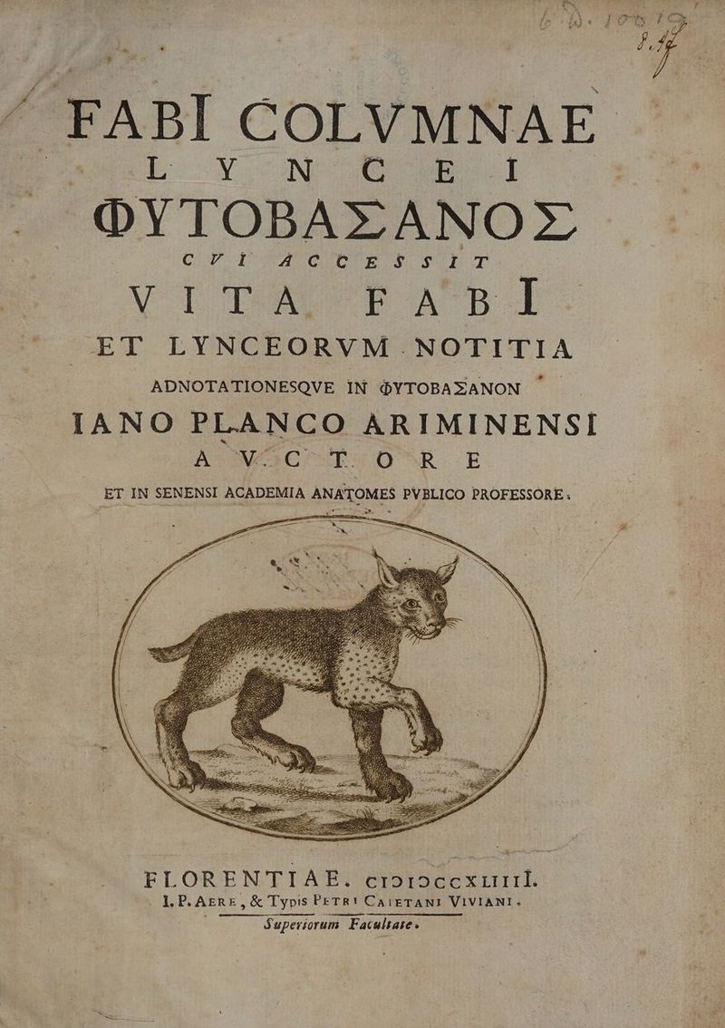 ^ FABI COLVMNAE (b Y ONU CUN OYTOBAX ANO 2 C T A QUEURPSDPT V TO DOADUP MJ ET LYNCEORVM NOTITIA ADNOTATIONESQVE IN QYTOBAXZANON IANO PLANCO ARIMINENSI AT1DWOCPSPWD NR E ET IN SENENSI ACADEMIA ANATOMES PVBLICO PROFESSORE ; FLORENTIAE:. cyoroccxriurrbE L P. AERE. ,& Typis PETR! CaigTANI VIVIANI. Superiorum n Faculiare.