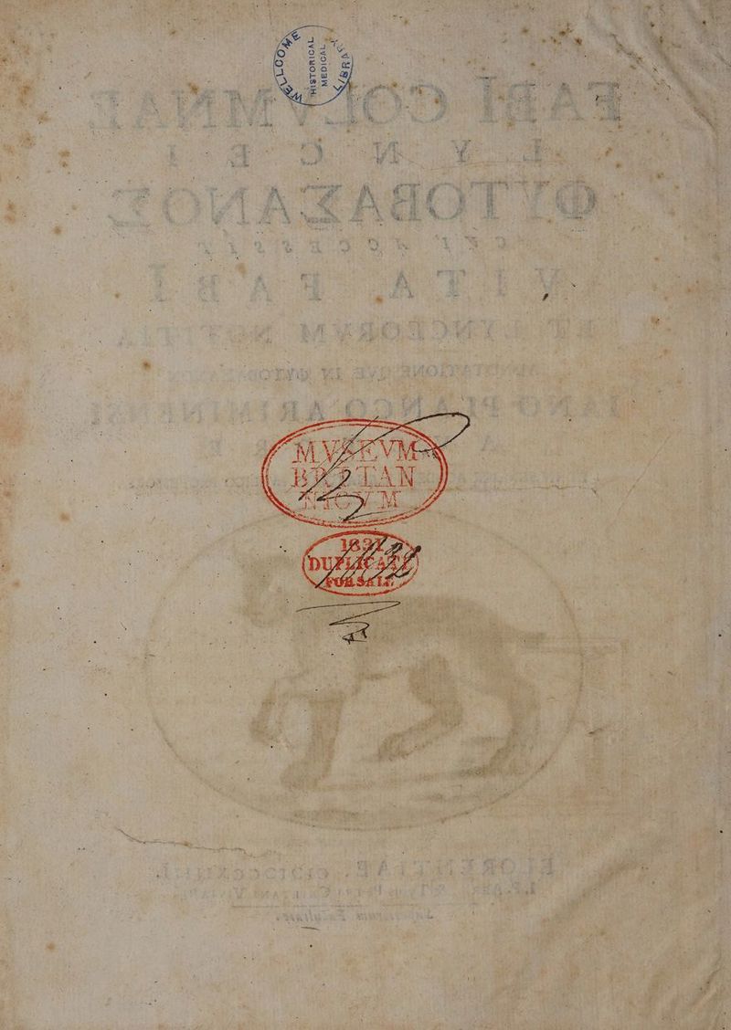 ELS * 4voldaNW -V91uO.LSlHi f oov * : - * P. cue d EDS Re à , — —. c s - B