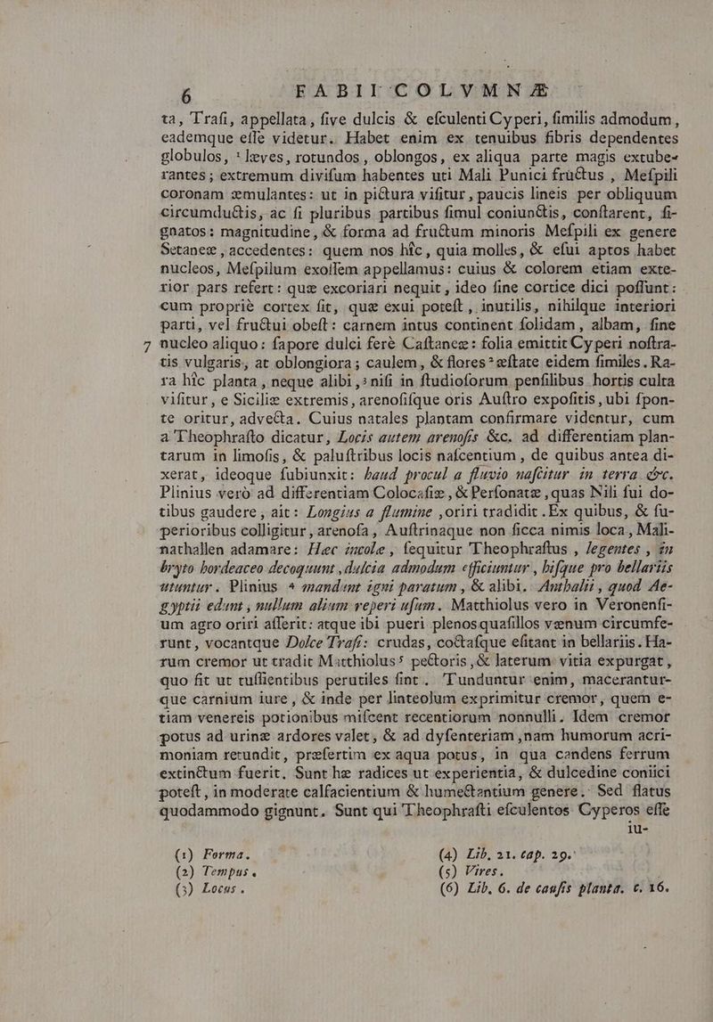 ta, T'rafi, appellata, five dulcis &amp; efculenti Cy peri, fimilis admodum, eademque eífle videtur. Habet enim ex tenuibus fibris dependentes globulos, * leves, rotundos, oblongos, ex aliqua. parte magis extube- rantes ; extremum divifum habentes uti Mali Punici frü&amp;tus , Mefpili coronam zmulantes: ut in piCtura vifitur, paucis lineis per obliquum circumdu&amp;is, ac fi pluribus partibus fimul coniunGtis, conítarent, fi- gnatos: magnitudine , &amp; forma ad fru&amp;um minoris Mefpili ex. genere Setanez , accedentes: quem nos hic, quia molles, &amp; efui aptos haber nucleos, Mefpilum exoifem appellamus: cuius &amp; colorem etiam exte- rior pars refert: qus excoriari nequit , ideo fine cortice dici poffunt: cum proprie cortex fit, qua exui poteft , inutilis, nihilque interiori parti, vel fru&amp;ui obeft: carnem intus continent folidam , albam, fine nucleo aliquo: fapore dulci feré Caftanez: folia emittit Cy peri noftra- tis vulgaris, at oblongiora; caulem, &amp; flores? eftate eidem fimiles . Ra- ra hlc planta , neque alibi ,:nifi in ftudioforum penfilibus hortis culta vifitur , e Sicilie extremis, arenofifque oris Auflro expofitis , ubi fpon- te oritur, advecta. Cuius natales plantam confirmare videntur, cum a T heophrafto dicatur, Locis autem arenofis &amp;c. ad. differentiam plan- tarum in limofis, &amp; paluftribus locis nafcentium , de quibus antea di- xerat, ideoque fubiunxit: baud procul a fluvio nafcitur. in terra. ev. Plinius veró' ad differentiam Colocafiz , € Perfonatz , quas Nili fui do- tibus gaudere , ait: Longius a flumine ,oriri tradidit .Ex quibus, &amp; fu- perioribus colligitur , arenofa , Auftrinaque non ficca nimis loca , Mah- nathallen adamare: Hec zzcole , fequitur 'Theophraftus , Jegentes , zu bryto bordeaceo decoquunt ,dulcia admodum efficiumtur , bifque pro bellariis utuntur. Plinius ^ emandent igni paratum , &amp; alibi. Antbalii , quod Ae- gyptii edant , nullum alium reperi ufum. Matthiolus vero in. Veronenfi- um agro oriri afferit: atque ibi pueri plenosquafillos venum circumfe- runt, vocantque Dolce Trafí: crudas, coCtafque efitaat in bellariis. Ha- rum cremor ut tradit Matthiolus* peCtoris, &amp; laterum vitia expurgat , quo fit ut tuflientibus perutiles fint. 'T'unduntur enim, macerantur- que carnium iure, &amp; inde per linteolum exprimitur cremor, quem e- tiam venereis potionibus miícent recentiorum nonnulli, Idem. cremor potus ad urinz ardores valet, &amp; ad dyfenteriam ,nam humorum acri- moniam rerundit, prefertim ex aqua potus, in qua candens ferrum extinctum fuerit, Sunt he radices ut experientia, &amp; dulcedine coniici poteft , in moderate calfacientium &amp; hume&amp;zntium genere.: Sed flatus quodammodo gigaunt. Sunt qui 'T heophrafti efculentos. Cyperos effe iu- (1) Forma. (4) Lib, 21. Caf. 29. (2) Tempus . (5) Vires . OB Ei (3) Locus . (6) Lib. 6. de caufis planta. c. 16.