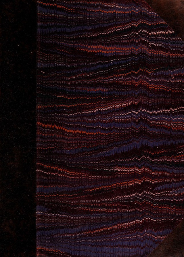 digitised image 1