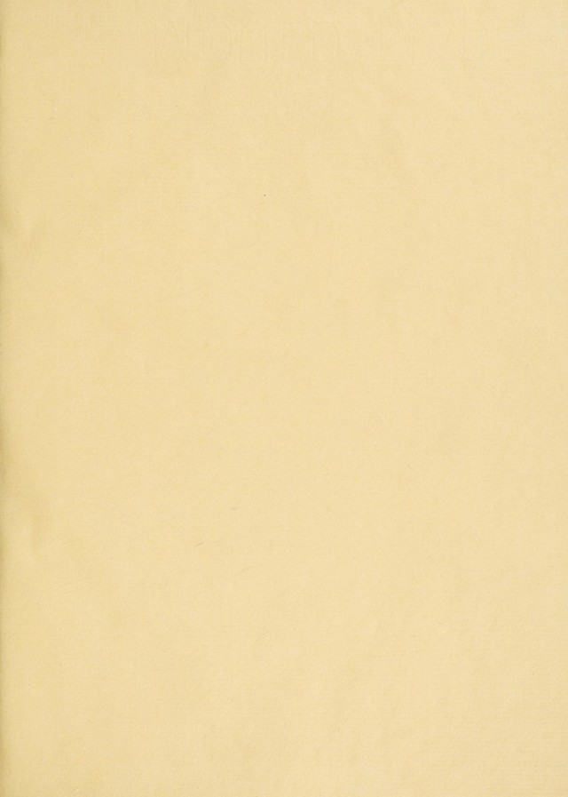 digitised image 3