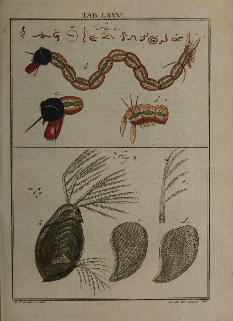 C / . a. . C 'Ts? . jL M'S&jS <£r 'ir TA»