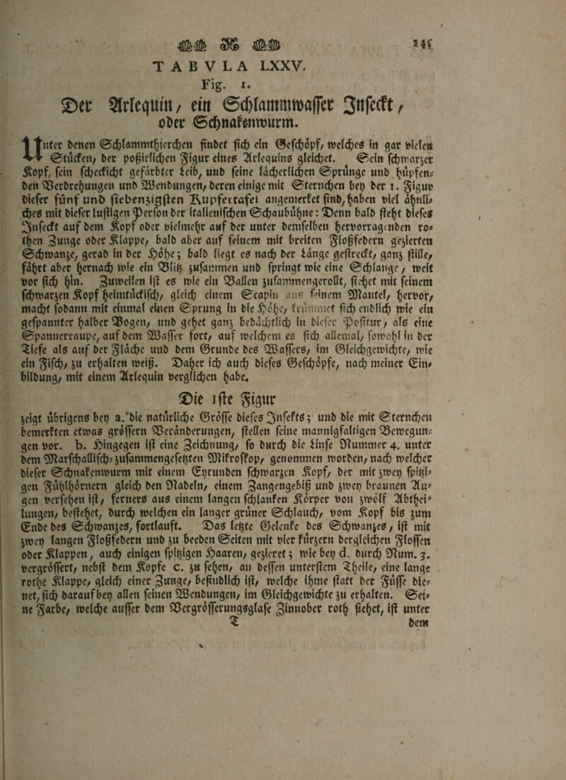 T A B V L A LXXV, Fig. i* ©ec 2Wcquin, ein <3cf)tammmaf]Tec 3«f^t«- $her ©c&nafonromm Unter benen (Schlammtht'crchen ftttbet fch dn ©efefopf/ welches ln gar t>fcTcn (Stücfen/ ber pof irilchcn gtgur dnes Ärlcqufns glddpet. (Sein fchmar^cr Äopf, fdn fchecficht gefärbter icib, unb feine lad;crlid)cn (Sprünge unb Impfen* ben Söetbrefjungen unb Söenbungcn/ beren einige mit ©ferneren bet) ber i.gigue biefer fünf unt) fteben$ig(ten Rupfertafei angenterf et ftnb, haben t>ic( a^nli* d)e$ mit biefer luftigen (perfon ber (tallcnlfchen (Schaubühne: £)enn halb fteht biefes 3nfecft auf bem Äopf ober nielme^r auf ber unter bemfelbcn hernorragmben ro# t^en gungc ober floppe/ halb aber auf feinem mit breiten gloffcbcrn gegierten (Schwanke, gcrab in ber £>o!)e; halb liegt es nach ber *ange geftreeft/ ganj fülle/ fahrt aber hernach wie ein 33li$ jufammen unb fpringt wie eine (Schlange, weif bor (td) ^tn. guwdlcn Ift et wie ein fallen jufammengerollt, ficket mir feinem fchwarjen $opf hdmtücfifch/ gleich einem 0capir« aus Einern SJtanfel/ herttor/ macht fobann mit einmal einen (Sprung in bie ^ofjc, frümmef ftd? entließ wie ein gefpannter falber 3$ogen/ unb geltet ganj bebaditiid; in biefer »pcfTrur / als eine (Spannerraupe, auf bem 3Baffet fort/ auf Welchem es ftch allemal; fowo^l in ber 3icfe als auf ber gläd)c unb bem ©runbe bcS döafferS/ im ©icichgcwichfc/ wie dn gifch/ ju erhalten weif. X)a^er ich aud? btefes ©efchepfe, nach meiner ©in# bilbung/ mit einem $tiec|uin Verglichen habe, ©ie ifle §ipr jeigt übrigens bet) a/bie natürliche ©reffe biefes 3nfeftö; unb bie mit (Sternchen bemerkten ctwa3 groffern SScranbcrungen, feilen feine mannigfaltigen Söcwcgun* gen vor. b. hingegen ift eine geichnung/ fo burch bie $infe Stummer 4. unter bem SJtarfchallifch^ufammengefepten SJtifroffop/ genommen worben/ttach welcher biefer (Schnafenwurm mit einem ©prunben fehwarjen 5topf/ ber mit jwep fpifcb gen güfjtfornern gleich ben Stabeln/ einem gangengebif unb jwep braunen 2(u* gen Verfemen ift/ fcrnerS aus einem langen fchlanfen Körper Von jwelf Tlbthct* jungen/ befefet, burch welchen dn ianger grüner (Schlauch/ vom $opf bis jum ©nbe bes (Schwanzes, fortlauft. 3>as lefte ©elenfe bcs <Sd)Wanjes, ift mit )wttf langen ^lo0fcbern unb &u beeben (Seiten mit t?fer fttrjern bcrgldthen giojfcn ober klappen, auch einigen fpipigen paaren/ gcjicref; wie bet) d. burch Stum. 3. ‘ vcrgrojfert/ nebft bem Äopfc c. &u fc^cn/ an beffen unferftem ^eile, eine lauge rotlje itlappe/ gleich einer gunge/ befnblich ift/ welche ifme ftaft ber griffe bie* ncf,ftch baraufbep allen feinen Ööenbungen/ im ©leichgewichte $u erhalten. (Set* ne garbe/ welche auffer bem SOergrojferungsglafe ginnober roth ßefjct, ift unter Z bem