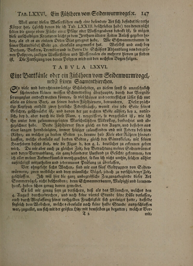 SBcil unter tiefen SBaffcrfldben aud? eine befonbere 2(rt ftd? befmbef bicrotfje Körper ^at, (gleich benen bie id? Tab LXX1II. befchriebcn habe) Ponbenennidjt feiten bic ganze obere §1 dd?e einer <pfühe ober 2öaffcrgrabens bcbccft iß/ fo mögen tiefe unfertigen Kreaturen leicht ju bem 3rrtf?um älterer feiten 3nlaß gegeben ha# ben, als ob es an einigen Orten 2Mut geregnet habe. 2B1« ©d?mammcrbamm in feinerüftaturbiebcl ©eite 40. cbenfaßs angemerfet f)af. 2Bofclbß unb aud? bci^ £>er^anv ^acfcrn/Srcmblcpunb infterrnDr ©d?dfers3(bhanblung ronbengru# neu Polippew; jaefigen 2öaj]erp6^en unb SBaflferaalen ein mehrers ^ienon zu ßtfbett ißt £)ie gortfejung po« benen $olppc« tpirb mit ben «ed?ßen 25ogen folgen. T A B V L A LXXVI. @üte 33artFMe ober ein 3it6U>orn tont @ei&em»urmtooijel, nebjl feinen ©aamenthtereijen. 00 Piele unb befrachfenswurbige ©d?onheifen, an tiefem fonjl fo unanfe^nfitö fd?cinenben fleincn tpeiffen ©d?metter(ing überhaupfS/ burd? tag £3ergrofj ferungsglas entbeeftmerben fdnnctt/ fo pielfd?6nes unb t>crfrcflid;c€5 (affet ßd? nuc allein an feinem s33arf/ an feinen beeten ^u^hornern, betrunbern, Dicfcr prdd?# tigeßopfpug enthält jwep fjcrrticfye Sebcrßrauße/ womit eine jebc ©eite feines @3cßd?tS/ gefd;rfturfct iß/ unb bapon ber zur rechten ©eite aüfjier/ bep a. natura lieh/ bet; b. aber burd? bic iinfe SRum. 5. pergrdflerf/ fo Porgeßeflct iß; wie id? 4 ihn unter bem iufammengefetjten 3ttarfd?aßifd?en 5Dtifroffop, beobachtet unb ab/ gezeichnet habe. 33ecbe guhlhorncr fifcen gleich an ben klugen, unb beiteten aus einer langen ^ornbetnigten, immer fpiptger julauffcnbcn unb mit gebern befe^ten Dvöljre/ an weld?cr ju beeten ©eiten 30. braune l^h’ $iele ober bohren hinaus# lauffen, welche ebenfaßs auf beeten ©eiten/ gleich ben (*?dnn$ficlcn, mit feinen Äaarfebern befeljt ftnb/ mie bie $igur b» ben g. i. beutlid;er ju erfennen geben wirb. 3)a mir aber aud? zu gleichet 3eit/ bep Befrachtung meiner ©eibenwurmet unb bereit Sßermanblung, ein ganz befonberer Umßanb zu 0eßd?fc gefommett/ ben ich aßer meiner Tlufmerffamfcttmerthgeachtet, fofan id? nicht umhin, fold?en aß^iec aufrichtig!? mitzutheilen unb jebermanns ^rufung zu uberlaffen, Sßor ehngefehr fcd;s •2öod?ctt/ ftttb mir aus fünf (Bolbpuppen Pon ©eiben# Würmern/ jn?ep meiblid?e unb brep männliche Sßogel/ jebod? zu Perfchiebencr'Jcit/ gefd?loff-:tt. ^th will h*ec bk ganz unbegreifliche ^eugungsbegierbc tiefer lixt ©ommerpogcl/ nicht befchreibcn z benn @d?mammcrtamm, 9ftalpighi unb ieeupen* hoccf/ haben fd?on genug bapon gemelbet. G:s fofl mir genug fepn zu Pcrjnhern, baß als bas 5D?dnnchen, tnclcheS ben 4. Tluguß burchgebrochen, unb nod? feine viertel ©tunte feine £üße Perlaffen/ auch burd?3ßeglaffungfeiner rothgelben geuchtigfcit ßd? gereintgef hatte/ baflelbc fogleid? bem^öeibchen, welche s ebenfaßs noch feine halbe ©tunte ausgefd;loffen war/ zugeeilct, um fid) mit ber großen £il$e mit temfelben ju begatten z welches $£or# Z z mit#