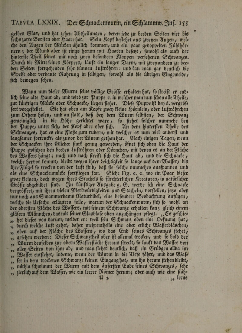 gcI6eö ©laS/ unb hat jc^eti OlBt^eilungc« / beren jcbe ;tx bceben 0elfcn t>tct bis fcd?s;arfeQ3orßcn ober ftaarebaf. 0ein 5^opf beließet aus ;wet?cn Tfu^cn / wel* d?e ben 3fugcn ber ^liefen a^nlid? fommen/ unb cm paar gehoppelten nern ; ber !Sflunb aber iß rings herum mit ftaareti befe^t, fowoßl als aud? ber ßinterße ‘Sßcil feines mit nod? 5tnct? befonbern klappen Pcrfchencn 0d?wanjes. £>md? bie 9)litfe feines Körpers/ lauft ein langer £)arm/ mit $wet?anbern ju bcc* ben ©eiten fortgeßenben feßr bünnen Luftröhren; unb fan man gar beutlid? bie ©peifc ober Pcrbaufe Olaßrung in fclbigcn/ fowoßl als bie übrigen ©ingewetbe/ ßd? bewegen fcßciu SBaun nun blefer 2Burm feine Pollige ©cöffc erhalten hat/ fo flreift er enb* Kd? feine alte £aut ab/ unb wirb jur *Puppe c.in welcher man nun fd?on äße 2ßeile/ 5ur fünftigen SÖiücfe ober 0d?nacfc/ liegen fielet. £)iefe <Puppeiß bet?d. Pergröß fert Porgeßcßef. 0ie hat eben am Äopfe jwep Flehte Hörnlein/ ober Luftrößrchen jum Otßem ßoleU/ unbanßatt/ baß bet? bem 2Btirm fclbßcn/ ber 0d?wan$ gemeiniglich in bie £öße gerichtet wäre / fo fielet fold?er nunmehr bet? ber 9)uppe/ unter ßd?/ ber $opf aber ober ftd?« 2ln bem ßinterßen 3ßclle bes ©chwanjeS/ hat es eine gieße jum rubern/ mit Welcher es nun Piel anberß unb langfamer fortrueft/ als juPor ber^Burm gctßanßaf. Olad? einigen 3ageu/Wenn bet ©eßnaefen ihre ©lieber ßarf genug geworben/ öfnet ßd? oben bie $aut ber ^)uppe ;wifd?cn ben beeben Luftröhren ober &crnd;en/ mit benen es an ber flache bes $Baffcrs hangt; nad? unb nad? ffreift ßd? bie £>aut ab/ unb bie ©chnacfc/ welche ßerpor femmt/ bleibt wegen ihrer Leid?tlgfeit fo lange auf bem-^Baffer/ bis ißreglügcl fo troefen Pon ber Luft ßnb/ baß fte fcld?c uuumchro ausfpannen unb als eine ©ehnaefeumüefe fortßiegen fait. ©ieße Fig. e. e. wo ein ^aar blefer jwar fleinen/ hoch wegen ihres ©tad?cls fo furd?terlid?cn Kreaturen/ in natürlicher ©röffe abgebilbet ßnb. 3n fünftiget Ausgabe g. ©. werbe ich eine ©d?nacfe Pergrößerf/ mit ihren Pielen SOlerfwürbigfeiten unb ©tadjcln/ PorßeHen/ jeßo aber nur nod? aus ©wammerbamö Bflafurbibel/ eine befenbere Beobachtung anfügen / wcld?c bie Urfad?e erläutern foUc / warum ber ©thnaefenwurnt/ fleh fo wohl an ber oberßen glad?c bes SJBafferS/ mit feinem ©d?wan;e erhalten fan; gleich einem glafern Männchen/bas mit feiner ©lasblafe oben anjußangen pßegt. „©sgefeßte* ,, ßct biefes Pon barum/melbct er: weil fein ©d)wan5 oben eine Oefnung hat/ „ burch welche Luft gehet/ baßer mchrenthcils eine ober etliche 2öafjerblaSchcn/ „ oben auf ber flache bes SBaffcrs / wo bas ©nb feines ©d?wan;es ßeßet/ „ gefeßen werben: ©iefer ©cßwanjtbeil aber iß allemal troefen/ unb fo halb ber „ 2Burm benfelben jur obern SBaffcrßacße heraus ßreeft/ fo lauft bas SBaßer Pon „ aßen ©eiten Pon ißm ab/ unb man ßeßet deutlich/ baß ein ©rübgen aßba im „ SBaßer entßehct/ inbeme/ wenn ber 2Burm in bie £icfe faßrf/ unb bas 2Baf# „ fer in bem troefenen ©chwanje feinen ©ingang ßaf/ um ißn ßerum ßeßen bleibt/ „ mithin fd?wlmmt ber 2Burm mit bem auferßen ©nbe feines 0d?wanjeS / feßr „ ^erlich auf bem ?23aßer/wie ein leerer 9\6mcr hrrum; o^er auch wie eine ßaß* Ms „ lerne