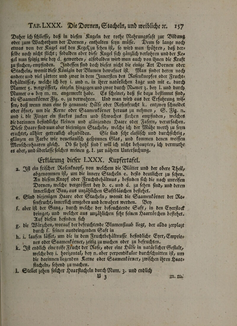 Stoßet ich ft&Hefie, baß in biefen Äugeln ber rotße Sfiaßtuttgsfaff jut Q3ilbmt& ober jutn 58ad)ötßum Der Bornen/ enthalten fc^n muffe, £>cun fo lange nod; etwas von Der Äugel auf Den Äcgcl^u feßen iß, fo wirb man fyußren, Daß Der? fclbe nod) nid)t ßid)t; fobalbcn aber Diefe Äugel |td) gdnßid) verloßren unb Der Äc* gel nun fpt$g wie bei; d. geworben, alfobalben wirb man and; von ißnen Die Äraft $u ßedßcn/ empßnben. 3nbeßen ßnb bod) biefes nid)t Die einige ^Crt Stornen ober 0tad)eln, momit Diefe Äonlgln Der Blumen bewafnet iß. 9ttan ßnbet Deren nod? onbere unb t>iel pariere unb jwar in Dem 3nnerßen Des DSofcnfnopfeS ober grucht? beßaltnißeS, welche id) bei) i. unb n, in ißrer natürlichen iagc unb mit e. burcfr Sßumer 5. Vergrößert, einzeln ßingegen unb jwar Durch (ftumet 3. bei) 1, unb Durd> SRumer o© bei) m. m. angemeeft ßabe, (Es fd)einet, Daß ße Daju beßimrat ßnb> Die ©aarnenforncr gtg, o, juverwaßren, Unb man wirb aus Der (Erfahrung miß fett/ baß meint man eine fo genannte £)ulfe ober 9\ofenfrud)t k, entjmep feßneibet ober ofneV um Die Äerne ober @aamenforner heraus ju nehmen , <0. gig. n. tmb i. Die ginger ein ßarfcs juefen unb fchwad)cS fteeßen empßnben, welches Die Darinnen beßublicße flehten unb glanjenbeti £aare ober gafent, vcrutfachen» 3biefe^)aarcßnbnunaber bicfenigen (Stapeln/ mefd)e id) Der 9)lußc wertß ^u fei)ii erachtet/ aßßter getreulief; afyubifbeu. @ie ßub fcl;r elaßifd? unb burd)ßd)tig,. glanzen an garbe mic venetiauifch gefponnen ©laß, unb fommen Denen meiffen 9ftcnfd>cnßaarcn gleich-, Ob ßc l;o^f ßnb ? miß ich nicht behaupten; id) Vermutße cß aber, unb ubertafle folchcs meinen g, i. jur nähern Untetfud;ung, (ftfldrutig bitfer LXXX. jvupfertafef. j. 3(1 ein feifetjer Svofonfnopf/ tron »jefdjera t>ie SSItot unb bev obere 3(jeif/ abgenommen iß, um Die innere @tad;efn e, beßo Deutlicher ju feßen, Hxt biefcmÄnopf ober gruchtbeßdltnus, beßnben ßd) Die noch unreifer» Bornen, metche vergrößert bei) fr. c. unb d. ju feßen ßnbA unb beret» innerlicher 35au, aus unpäßlichen ©aftbldscßen beßeßet, t. @inb Diejenigen £aarc ober (Btadjeln, momit Die ©aameuforner ber Ovo# fenfrucht, innerlich umgeben unb bemalet werben. £5ci) f. aber iß Der ®ang, Durch mefche ber bofcuchtenbc @aft, in Den (Eijcrßöcf bringet, unb mefcher aus unpäßlichen fc§t feinen ^aarrorchen beßehef* 2(uf Dicfcn beßnben ßd) g. Die SSJarjchen, morauf ber befrudötenbe ^5lumenßaub liegt, bet aßba jerplajt burch f- feine« außbringenben @aft in h. i. laufen Idßef, um Die in Dem grud&tbehdftnußc beßnbliche (Eper, (Emprlo? neß ober @aamcnf6rner, jeitig ju machen ober ju befruchten, k. 3ß enbfid? eine reife grud)t ber üfofe, ober eine §ulfe in natürlicher ©eßaft/ meld)e bei) i, ^ortjorttal/ bei) n. aber perpenbifular burchfchnlttcn iß, um bie barinnen liegenden Äerne ober ©aamenforncr, jmif^cn ihren j£«ac* ßad?eln, fe^enb ju machen, L ©teßet jehen folcfter ^aarßachcln burdhOlunt, 3, unb enblidl ü 3