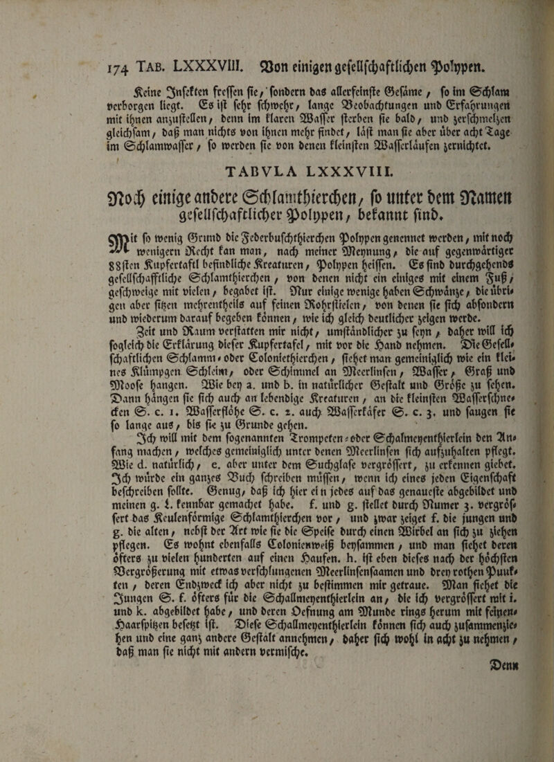 keine 3«fcftcn freffen fte/'fonbetn bas atlcrfcfnfle ©efdme/ fo im @chlam »erborgen liegt. Eeifl fcht fd?wcht/ lange Beobachtungen unb Erfahrungen mit ihnen anjuff eilen/ benn im Haren Söafjer jlcrben fte halb/ unb jerfchmcfycn gleichfam/ baf man nichts t?on ihnen mehr finbet/ la|1 man fte aber über adjt^age im Schlamwajfcr / fo werben fte non benen fleinjien 2ßaffcrldufcn vernichtet. TABVLA LXXXVIII. 97 oi) einige anbece@cf)famtöitT(^cit/ fo uittec t>em 97atnett gsfeUfct)aftli(f)tt* Polypen, befamtt ftnb. Qftjit fo wenig ©runb bic 3et)crbufcf?f^icrd&en ^olppcn genennet werbe« / mit noch wenigem Dvccht fan man, nach meinet Sftepnung/ bie auf gegenwärtiger 8Sftcn kupfertaftl befmblichekreafuren/ <polppcn heiffen. Esftnb burchgchenDS gcfcllfd?afftlid;e @chlamfhierd;en, »on benen nicht ein einiges mit einem §ufj/ gefcfyweigc mit vielen / begabet ifl. Sftur einige wenige hoben (Schwanke/ bieübri# gen aber ftpen mehrentheils auf feinen SSohrjirelcn / non benen fte ftd? abfonbern unb wieberum barauf begeben fonnen / wie td? gleich beutlicher feigen werbe. 3cit unb Dvaum ocrflaffen mir nicht/ umftanblichcr ju fcpn / baher will ich fogtcichble Erklärung biefer kupfertafcl/ mit bor bie #anb nehmen. £>le©efcll# fdjaftlichen (Schlamm#ober Eoloniethicrd)en/ fte^ef man gemeiniglich wie ein flet# ncs klumpgcn @d?lciwi/ ober ©djimmcl an Sftccrlinfcn / 2Baffct/i ©rafj unb Sftoofe hangen. Q53ie bep a. unb b. in natürlicher ©effatt unb ©rdfjc ju fc^en* S>ann hangen fte ftch auch an lebenbige Kreaturen / an btc fleinflen Eöafferfchne# efen @. c. i. 2öajferfl6hc c. z. aud; 2ßa|ferfdfer @. c. 3, unb faugen fte fo lange aus / bis fte ju ©runbe gehen. 3dj will mit bem fogenannten trompeten * ober <Sd)almcpenfhicrlein ben 2ltt* fang machen / welches gemeiniglich unter benen Sfleerlinfen ftch aufjuhalten pflegt. 5öie d. natürlich/ e. aber unter bem Sucbglafe bergreffert, ju erlernten giebet. 3d? würbe ein ganzes Bud; fchreiben muffen/ wenn id; eines jeben Eigenfd?aft befchrcibcn feilte. ©enug/ baf$ id? hier ein jebes auf bas genauere abgebilbet unb meinen g. t. fennbar gemachet habe. f. unb g. ftellef burd? Turner 3. bergrof« fert bas keulenförmige <Schfamthicrd;en vor / uttb jwar jeiget f. bie jungen unb g. bie alten / nebfi ber 2lrf wie fte bic @pcife burch einen ÄBirbel an ftch &u flehen pflegen. Es wo^nt ebenfalls Eolonienweifj bepfammen / unb man fielet beten öfters ju vielen hunberten auf einen Raufen, h. ift eben biefes nach ber hochfien Bcrgrofjerung mit etwas berfchfungenen 3Keerlinfcnfaamen unb breprothen^uttf# feit / beren Enbjwecf ich aber nicht ju beffimmen mir getraue. 9Han ftchet bie jungen <S. f. öfters für bie ©chattmepenthierlein an/ bie ich bergroffert raiti. unb k. abgebilbet habe / unb beren Oefnung am tOlunbe rings herum mit feipen# ^»aarfpipen befefjt ift. £)iefe ©challmepcnthierlein fonnen ftch auch &uf«mmen&ie* hen unb eine gan$ anbere ©eflalt annehmen/ baher ftch H^h* G*h* 5« nehmen / baf man fte nicht mit anbern nermifche. ^Demt