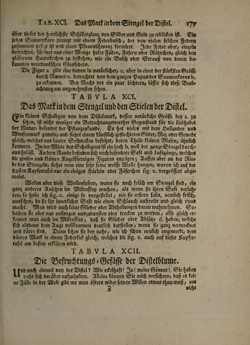 über blcfeS ber fjerrlidjPe @cl;i'OfergTanj Pon©ilberunb ©olb juerbltcfen (ff. ©{« jcbcs ©aamenforn prangt mit einem Seberbufd) , ber non Pielen fold;en Jeher« jufammen gefjt ip nnb einen «Pfauenfbwanj formiret. 3ebe Jeher aber, einjel« betrachtet, fd;dnef aus einer 3ftenge (joler Jdben, Jafern ober Dlobwhen, gleich be« glafcrnen £aarr6rd;en $u begehen, wie ein 35ufh ober ©trauf noit benen be* fannten benefianifchen ©fasfebern. £>ie Jigur a gibt eine babon in natürlicher/ c. aber in einer ber pdrfffett ©roffe burch Sftumer o. betrachtet non bem ganzen ^Papusbes ©aamenfornsb. ju erfennen, Q5ep Stacht not ein paar Richtern, taflet pch biefe 25eob* achfuugam angenehmflen fe^cn« T A B V L A XCI* !9?arE in bem ©tengel «nb ben Stielen ber Giftet. ßfin fleines ©cheibgen non bem £>iflelmarf, beffen natürliche ©rdfle btt) a. 5« ^ fehen, ifl nicht weniger ein QSefrachtungswerther ©egenpanb für bie Liebhaber ber Statur* befonber ber ipflanjenfunbe. ©0 ha* W^c0! mit bem £>o(Iunber unb 35imfenmarf gemein, unb fielet einem funfllich geflochteten ©ifter, Ste$ ober©cwebe gleich, welches aus lauter ©echSccfen heftetet/ beren ^^eile fleinen Olafen, ähnlich fommen. 3« ber fSflitfe bcs©cheibgeuSipein£och b.weil ber ganjc©feugelburd;<! aus hol »ff. 2fn bem Svanbe bepnben pch noch befonberc ©aft unb iuftgdnge, welches bie grofen unb fleinen kugelförmigen Figuren anjeigen; bluffen aber an ber Dvin* bebes ©tengelö, flehet man eine fc^r feine weifle £S3ode fangen, wobon ich auf ber 89^n^«pfertafeinur etn einiges iQdrlcin ober Jdferchen fig. e. bergrdflerf abge* malet. SCBeifen aber biefe 2Bodenfafern, wann pe noch frifch am ©fcngel pnb, ei« gan$ anbercs #nfehcn im Sflifroffop machen, als wenn fte ihren ©aft berloh* ren, fo habe ich fig. c. einige fo borgepedef, wie pe crPern fads, nemiieh frifch, ausfehen, ba pe ihr innerlicher ©aft wie einen ©chlauch auftreibt unb gleich runb macht. tOlan wirb auch feine ©lieber ober 2lbthei(ungcnbaranwahrncf)men. @o* halben pc aber nur anfangen auSjubunpen ober troefen ju werben, alfo gleich er* fennct man and) im SJtifroffop, baf pe ©Heter ober ^Ibfdlje d. haben, welche pch alsbenn bem 2luge bodfommen beutlich barpeden, wenn pe ganj bertroefnet unb turre pnb, &ann fehen pc bep nahe, wie ich Phon neulich angemerft, bem burren Sttarf in einem Seherfiel gleich, welches bie fig. c. auch auf biefer kupfer* tafcl am bepett erfldren wirb. T A B V L A XCII. Sie 53efrud)tmtgö * ©efdffe bet ©tjlelblume. Unb noch einmal bon berX)ipel? 2öie ecfelhaft! 3a! meine ©onner! ©iehabe» red?t pch baruber auftuhaltcn. 2(dcine fdnnen ©ie mich oerpehern, baf es fei* ne Jade in ber 2Belt gibt wo man öfters wiber feinen 2Bide« etwas thunmuf, um 3 »ich*