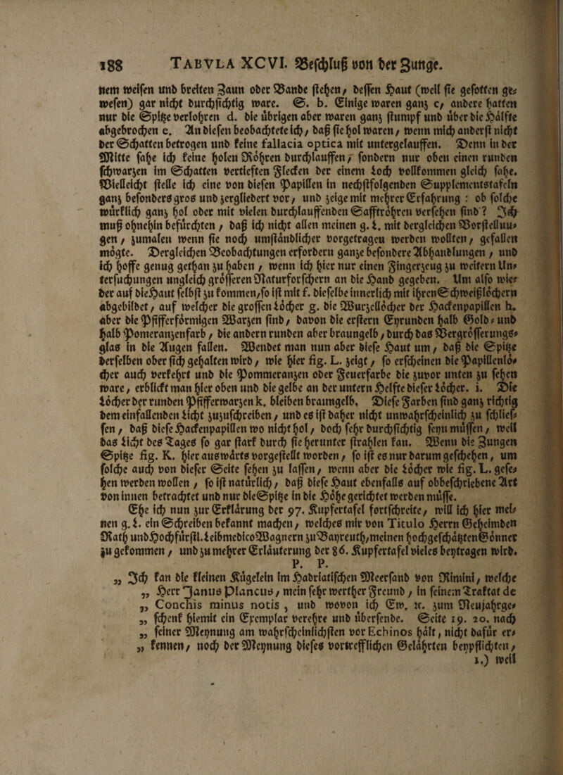 i8g TabvlaXCVI. SSefilug von 6er 3 Ma¬ ttem weifen unb breiten 3<»«n ober Banbe ge^en/ beffen haut (well fte gefoften ge* wefen) gar nicht burchpehtig wäre. ©. b. (Einige waren ganj c/ anbere baffen nur bie ©pifje verlogen d. bie übrigen aber waren ganj purnpf unb über bie hdlffe abgebrochen e. 2ln biefen beobachtete ich / bap pe bol waren / wenn mich anberp nicht ber ©Ratten betrogen nnb feine faliacia optica mit untergelauffcn. denn in bec Stifte fabe ich feine holen Dvobren burd^lauffen / fonbern nur oben einen runben phwarjen im ©chatten Vertieften gierten ber einem iodb voßfommeit gleich fabe. Bießeicht pelle ich eine von biefen ^apiUen in nedjpfolgenben ©upplcmcntstafcln gan$ befonberßgroß unb jerglieberf vor/ unb jeigemit mebrerErfahrung : ob foldbe tvütflich ganj» bol ober mit vielen burchlauffenbcn ©afftrdhren verfehen pnb*? 3$ ntup obnebin befürchten / bap id; nicht allen meinen g. i. mit begleichen Borpcfluu* gen / jumalen wenn pe noch umpanblicher vorgefrageu werben wollten / gefallen mdgte. dergleichen Beobachtungen erforbern ganje befonbere 2(bbanbluugen / unb id? hoffe genug gethan ju haben / wenn ich h*cr nur einen 'Singerjcug $u Wettern Un* terfuchungen «ngleich größeren £Paturforfd)crn an bie hanb gegeben, tim alfo wirr ber auf hierauf felbp fommen/fo ip mit f. biefelbe innerlich mit ihrcn©chweipldcbern «bgebilbet/ auf welcher biegtoffcnidcher g. bie ^Burjcßdcher ber hadenpapißen h. «ber bie <ppffcrformigen 233arjen pnb/ bavon bie erpern (Eprunben halb ©olb* unb halb ^omeranjenfarb, bie anbern runben aber braungelb / burch baß Bergrofferungß* glaß in bie 2fugcn faßen. Söenbef man nun aber biefe haut um / bap bie ©pipe berfelben ober pch gehalten wirb / wie fytx fig- L« jeigt / fo erfebeinen bie^papiflenld* d?er auch verfemt unb bie «pommeranjen ober geuerfarbe bie juvor unten ju feben wäre, erblicft man hier oben unb bie gelbe an bet untern Reifte biefer idd?cr. i. die ibcher ber runben <ppfferwar$en k. bleiben braungclb, diefe garben pnb ganj richtig bem einfaßenben ticht jujufchreiben / unbeßipbaber nicht unwabrfcheinlich ^u fchlief* fen/ bap biefe^aefettpapißen wo nichtb°l/ bod? fehr burchpehtig fepn muffen/ weil baß $iu?t beß £agcß fo gar parf burch pe herunter prahlen fatt. 2Öenn bie 3ungen ©pi$e iig. K. b^taußwürtß vorgepeßt worben/ fo ip eßnurbarumgefeiten, um folche auch von biefer ©eite feben ju laffen/ wenn aber bie $od?er wie fig.L. gefe* ben werben woßen / fo ip natürlich / bap biefe haut ebenfaßß auf obbefchrlebene 2lrt von innen befrachtet unb nur bie@pif?e in bie ^obe gerichtet werben müpe. (Ehe ich nun jur (Erflarung ber 97. ^upfertafel fortfehreife / wiß ich tyex rock nen g.i, ein©c^reiben befannt machen/ welcheß mir von Titulo herrn ©eheimben SKatb unb^odhfürpUeibmebico^GBagnern juBaprcuth/meinen hochgefchd(pen©dnnec *u gefommen / unb ju mebrer (Erläuterung ber 8 6, j^upfertafcl vieleß beptragen wirb* P. P. „ 3d) äro bie fleinen itügelein im habriatffchen SJleerfanb von Dvintlni/ wefdje „ ^err ^atuie piancuß, mein febr wertber greunb, in feinem Sraftat de 7> Conchis minus notis , unb wovon ich (Ew, tc. jum Sfteujahrge* 3, fchenf biemit ein (Epemplar Verehre unb überfenbe. ©eite 19. 20. nad) „ feiner SDßepnung am wabrfchciniichpcn vorEcbinos half, nicht bafür er# „ fennen/ noch ber2D?epnung biefeß vortrefflichen ©eldbrfen beppgid?teu/ 1.) weil