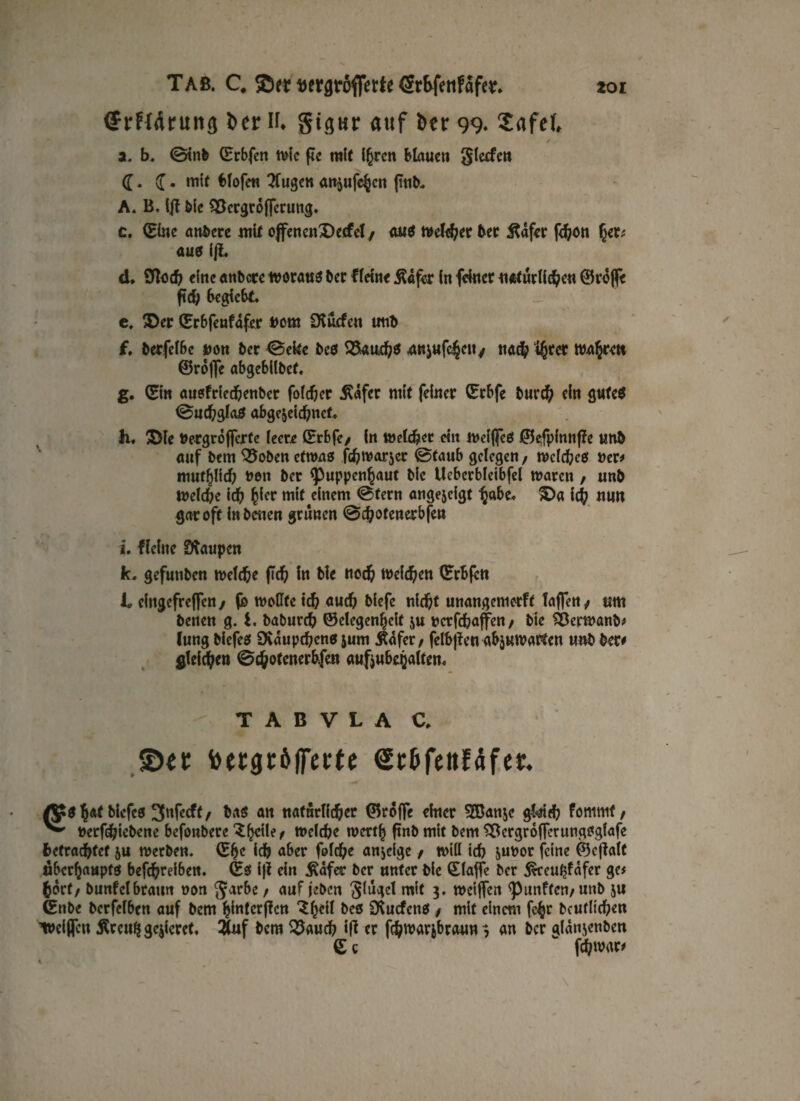 (Jrfldrung t>cr if. gigar auf i>er 99. Safef, ✓ • a. b, ©mb (Erbfen tvfc fte mit ißrcn Blau«« glccfen ([. ([. mit bfofen klugen an^ufe^cn {mb, A. B, ijf bie 93ergrdfferung. c. (Bitte andere mit ojfencuX)ecfel / aus Welcher bet iUfcr fdjött fyxt aus ijt d» 9foch «(ne anbere woraus ber fleine j?df«r in feiner tt«turli<heu ©reffe ftd; 6egiebt. e, ©er (Erbfeufdfer »om liefen utib f, berfelbe Dun ber ©ehe bes Skuchs anjufc^c«/ nach %et wahre» ©rojfe abgebilbef. g, (Ein ausfried&enber folcher 5?dfer mit feincr (Erbfe burd) ein gutes ©uchglaS abge$eid)nef. lu ©le »ergrofferte leere (Erbfe/ ln welcher eitt WelffeS ©efpfnnße «nb auf bei« 35oben etwas fchwarjer ©taub gelegen/ welches »er# mutpd; »en ber ^uppen^aut bic Ueberbleibfel waren / unb Welche ich h*cr mit einem ©fern angejeigt tybe* £>a ich «UH gar oft inbenen grünen ©cholenerbfen *. flehte Staupen k. gefuttben welche fid) ln ble noch Reichen (ErBfcn L chtgcfreflfcn / fb wollte ich auch biefe nicht unangemerft taflen / um betten g. i. baburch ©elegenf)cif ju »erfdjaffeu/ bie SDerwanb# lung biefes Dvdupchens jum Ädfer/ felbjf en abjuwarten unb ber# gleichen ©chotcnerb.fen aufjubajaltem T A B V L A C. ©et; foetgrölfecte ^rbfenfe». ß?S h*t biefes 3nfecft, bas an natürlicher ©rofFe einer SBanje g&ifh fommt/ ^ »ergebene befonbere ^^eile/ Welche werth ftnb mit bem Sftcrgroffcrungsgfafe befrachtet &u werben. (Ehe ich aber folche anjeige / will ich &u»or feine ©cjtalt uberhaupts betreiben, (Es i)f ein Äafet ber unter bie (ElafTe ber 5*ccuhfdfcr ge# hört/ bunfelbraun »on garbe / auf jeben glugel mit 3. weiften fünften/unb 5« (Enbe berfelben auf bem ^intcrflcn ^heil bes Dvucfens / mit einem fc^r bcuflichen Weiften Äceuh gelieret, 2(uf bem 33auch ift er fchwarjbraun 3 an ber gldnjenben £ c fchwar#