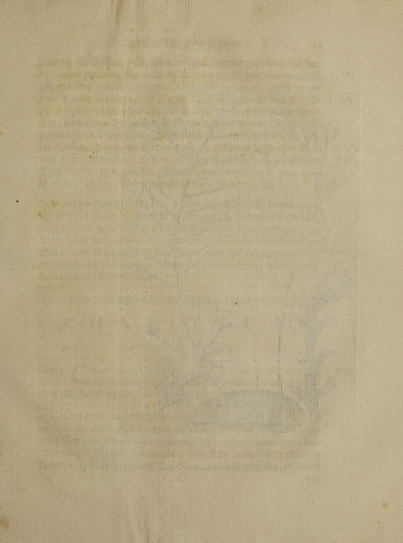 • V V.. ~ ! J}, -* v .. ... - ' 4# ^ • « -f* 1 •** . f ■ . ■ . •• • « i ■ ' *