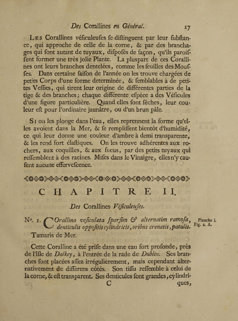 Des Corallines en Général. 17 Les Corallines véficuleufes fe diftinguent par leur fubftan- ce, qui approche de celle de la corne, & par des brancha¬ ges qui font autant de tuyaux, difpofés de façon, qu'ils paroif- fent former une très jolie Plante. La pluspart de ces Coralli¬ nes ont leurs branches dentelées, comme les feuilles desMouft fes. Dans certaine faifon de l'année on les trouve chargées de petits Corps d'une forme déterminée, & femblables à de peti¬ tes Veffies, qui tirent leur origine de différentes parties de la tige & des branches; chaque différente efpèce a des Véficules d'une figure particulière. Quand elles font féches, leur cou* leur eft pour l'ordinaire jaunâtre, ou d’un brun pâle. « Si on les plonge dans l'eau, elles reprennent la forme qu'el¬ les avoient dans la Mer, & fe rempliffent bientôt d'humidité, ce qui leur donne une couleur d'ambre à demi transparente, & les rend fort élaftiques. On les trouve adhérentes aux ro¬ chers, aux coquilles, & aux fucus, par des petits tuyaux qui reffemblent à des racines. Mifes dans le Vinaigre, elles n'y cau- fent aucune effervefcence. CHAPITRE Des Corallines Véficuleufes. N°. 1. Orallina veficulata fparfim & alternatim ramofa9 denticulis oppofitis cylindricïs, oribtis crenatis ,patulis* Tamaris de Mer. Planche I, Fig. a. A. Cette Coralline a été prife dans une eau fort profonde, près de l'Ifle de D al key, à l'entrée de la rade de Dublin. Ses bran¬ ches font placées affez irrégulièrement, mais cependant alter¬ nativement de différens côtés. Son tiffu reffemble à celui de la corne, & eft transparent. Ses denticules font grandes, cylindri- C ques,