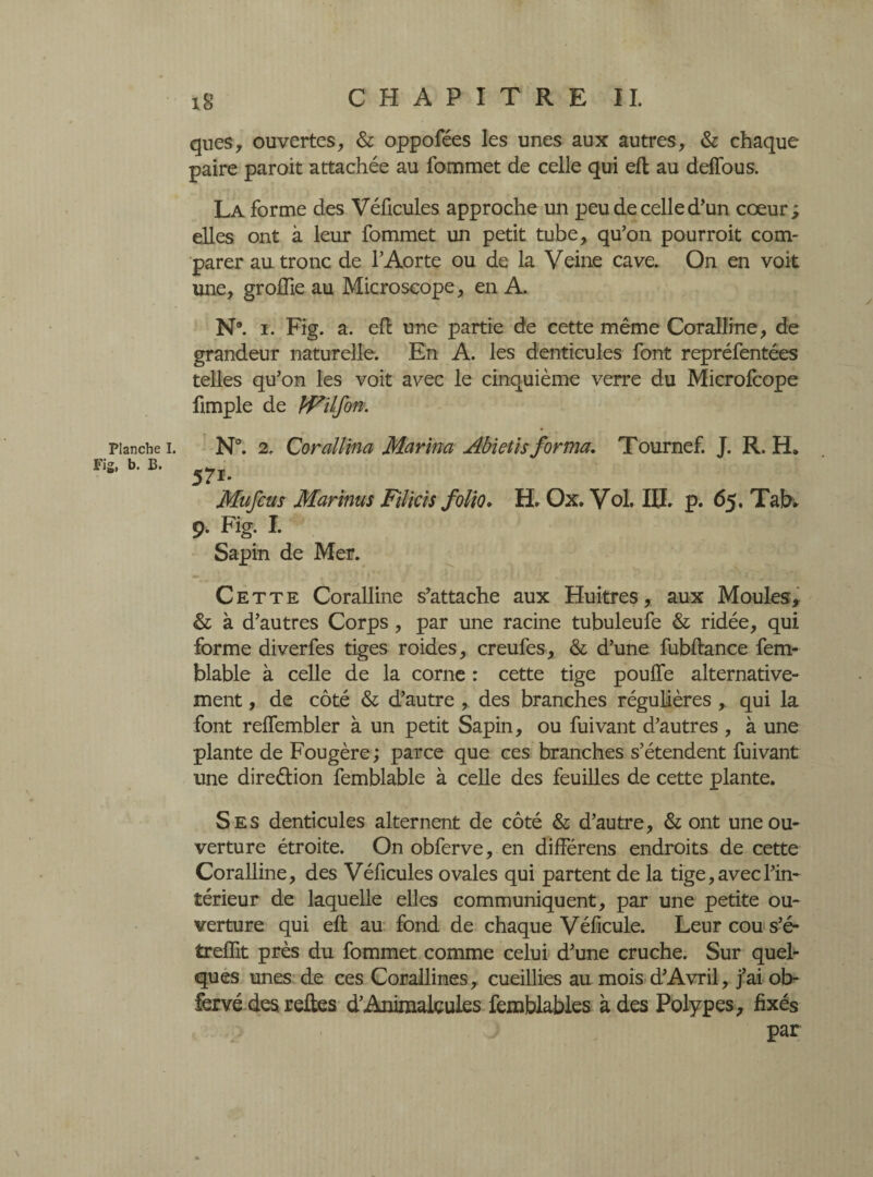 Planche I. Fig, b. B. ques, ouvertes, & oppofées les unes aux autres, & chaque paire paroit attachée au fommet de celle qui eft au deffous. La forme des Véficules approche un peu de celle d'un cœur ; elles ont à leur fommet un petit tube, qu’on pourrait com¬ parer au tronc de l’Aorte ou de la Veine cave. On en voit une, groffie au Microscope, en A. N®, i. Fig. a. eft une partie de cette même Coralline, de grandeur naturelle. En A. les denticules font repréfentées telles qu’on les voit avec le cinquième verre du Microfcope ftmple de Wilfon. N°. 2. CoralUna Marina Abietisforma. Tournef. J. R. H* 571. Mufcas Mar inus Fil ici s folio. H» Ox. Vol. HL p. 65. Tab* 9. Fig. I. Sapin de Mer. «•*> , * ' 1 ' • • • » j t ^ Ci. 1 • • ' „ « « i •*.' • ^ % ^i Cette Coralline s’attache aux Huîtres, aux Moules* & à d’autres Corps, par une racine tubuleufe & ridée, qui forme diverfes tiges roides, creufes, & d’une fubftance fem- blable à celle de la corne : cette tige pouffe alternative¬ ment , de côté & d’autre , des branches régulières , qui la font reffembler à un petit Sapin, ou fuivant d’autres , à une plante de Fougère ; parce que ces branches s’étendent fuivant une direction femblable à celle des feuilles de cette plante. Ses denticules alternent de côté & d’autre, & ont une ou¬ verture étroite. On obferve, en différens endroits de cette Coralline, des Véficules ovales qui partent de la tige, avec l’in¬ térieur de laquelle elles communiquent, par une petite ou¬ verture qui eft au fond de chaque Véficule. Leur cou s’é- treflit près du fommet comme celui d’une cruche. Sur quel¬ ques unes de ces Corallines, cueillies au mois d’Avril, j’ai ob- fervé des relies d’Animalcules femblables à des Polypes, fixés par