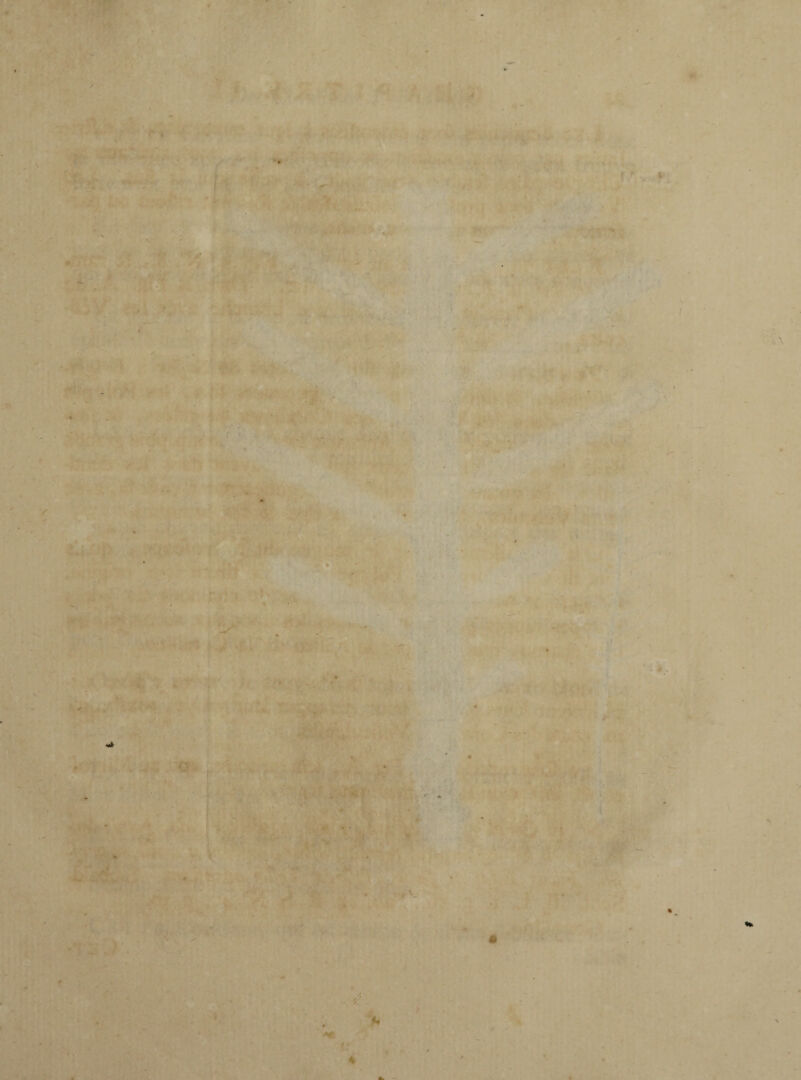 . . , ' ' I I - , * *' J . , Q ’ . ■ \ ' ■ ' - , -