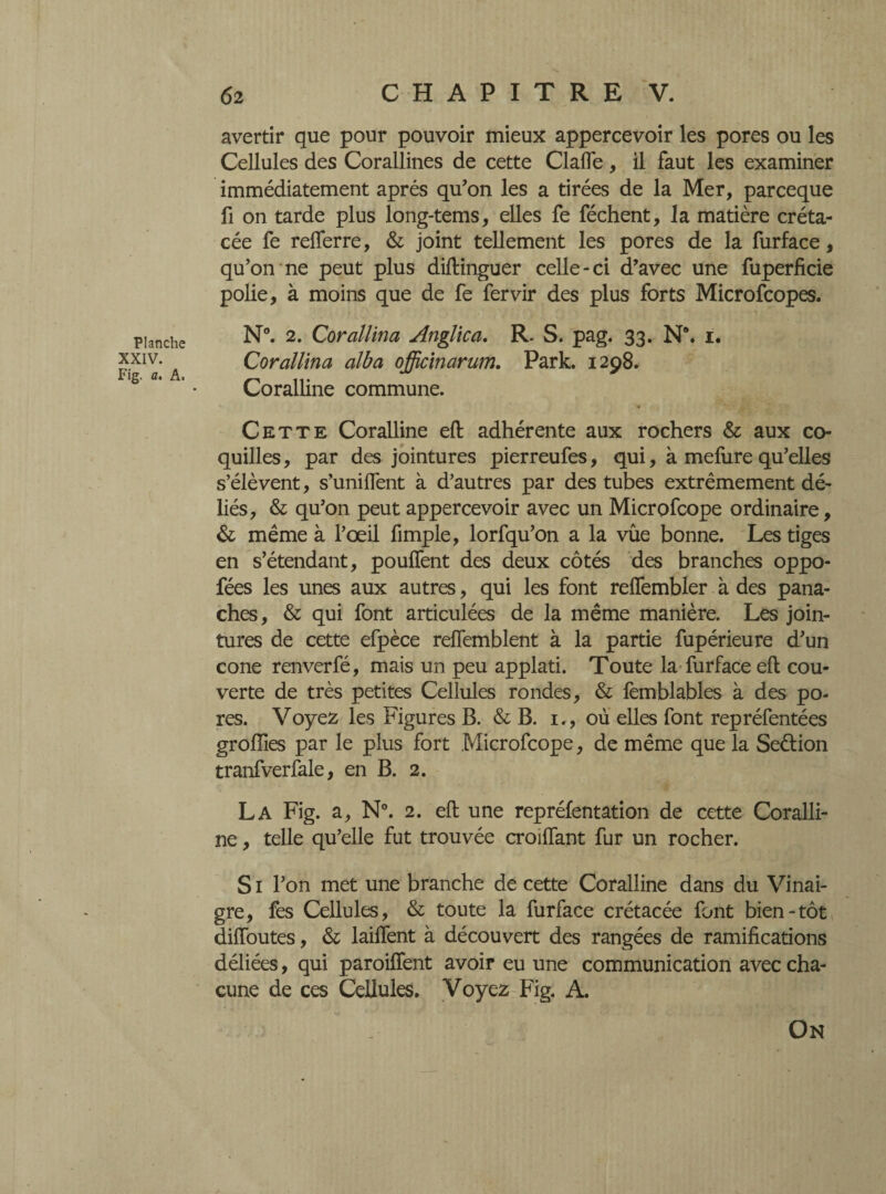 Planche XXIV. Fig. a. A. avertir que pour pouvoir mieux appercevoir les pores ou les Cellules des Corallines de cette Claffe, il faut les examiner immédiatement après qu’on les a tirées de la Mer, parceque fi on tarde plus long-tems, elles fe féchent, la matière créta¬ cée fe relferre, & joint tellement les pores de la furface, qu’on ne peut plus diftinguer celle-ci d’avec une fuperficie polie, à moins que de fe fervir des plus forts Microfcopes. N®. 2. Corallina Anglic a. R. S. pag. 33. N\ 1. Corallina alba officinarum. Park. 1298. Coralline commune. Cette Coralline eft adhérente aux rochers & aux co¬ quilles, par des jointures pierreufes, qui, à mefure qu’elles s’élèvent, s’uniftent à d’autres par des tubes extrêmement dé¬ liés, & qu’on peut appercevoir avec un Microfcope ordinaire, & même à l’œil fimple, lorfqu’on a la vûe bonne. Les tiges en s’étendant, pouffent des deux côtés des branches oppo- fées les unes aux autres, qui les font reffembler à des pana¬ ches, & qui font articulées de la même manière. Les join¬ tures de cette efpèce reffemblent à la partie fupérieure d’un cone renverfé, mais un peu applati. Toute la furface eft cou¬ verte de très petites Cellules rondes, & femblables à des po¬ res. Voyez les Figures B. & B. 1., où elles font repréfentées groiïies par le plus fort Microfcope, de même que la Seétion tranfverfale, en B. 2. La Fig. a, N®. 2. eft une repréfentation de cette Coralli¬ ne , telle qu’elle fut trouvée croiffant fur un rocher. S1 l’on met une branche de cette Coralline dans du Vinai¬ gre, fes Cellules, & toute la furface crétacée font bien-tôt diffoutes, & laiffent à découvert des rangées de ramifications déliées, qui paroiffent avoir eu une communication avec cha¬ cune de ces Cellules. Voyez Fig. A. On