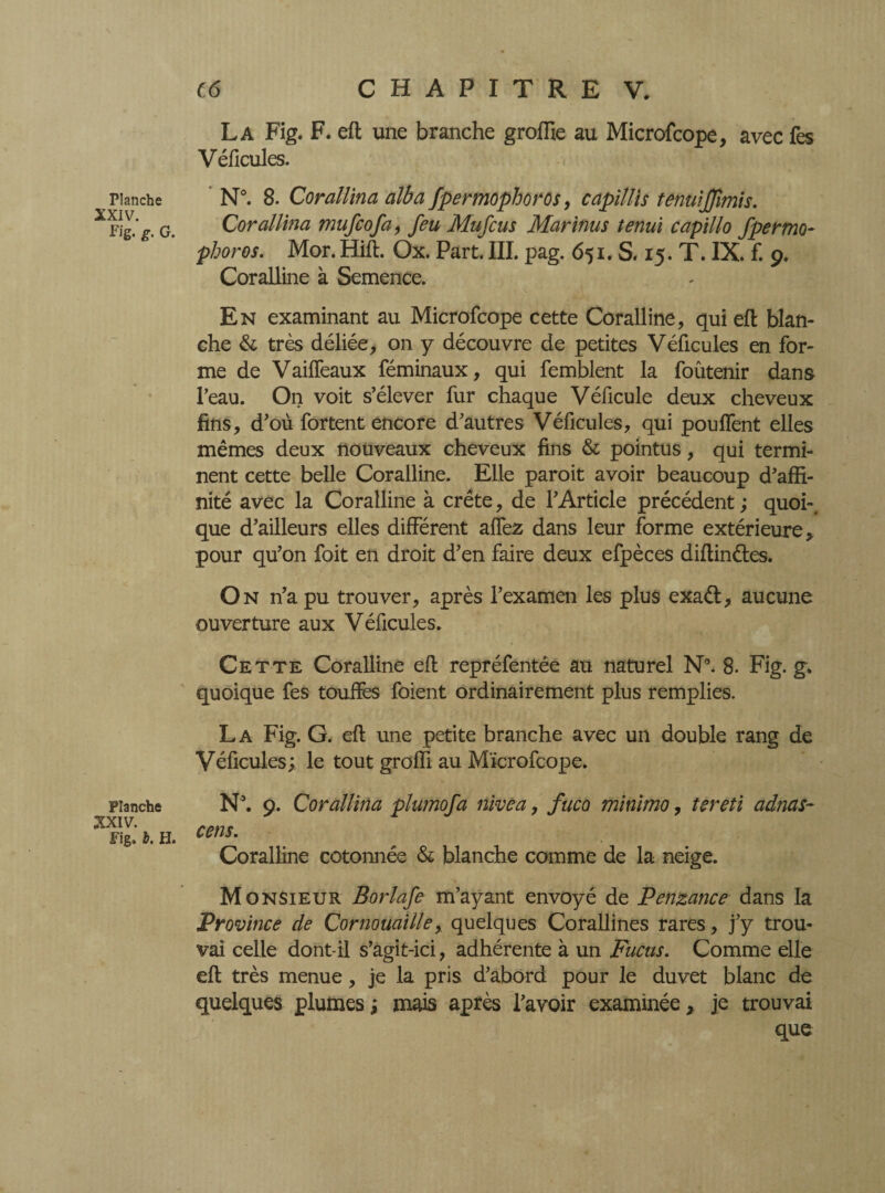 Planche XXIV. Fig. g. G. Planche XXIV. Fig» b. H. C6 CHAPITRE V. La Fig. F. eft une branche groffie au Microfcope, avec fes Véficules. N°. 8. Coraïïina alba fpermophoros, capilïis tenwjjîmis. Corallina mufcofa, feu Mufcus Mar inus tenui capillo fpermo¬ phoros. Mor. Hift. Ox. Part. III. pag. 651. S. 15. T. IX. f. 9. Coralline à Semence. En examinant au Microfcope cette Coralline, qui eft blan¬ che & très déliée, on y découvre de petites Véficules en for¬ me de Vailfeaux féminaux, qui femblent la foûtenir dans l’eau. On voit s’élever fur chaque Véficule deux cheveux fins, d’où fortent encore d’autres Véficules, qui pouffent elles mêmes deux nouveaux cheveux fins & pointus, qui termi¬ nent cette belle Coralline. Elle paroit avoir beaucoup d’affi¬ nité avec la Coralline à crête, de l’Article précédent ; quoi-, que d’ailleurs elles différent affez dans leur forme extérieure, pour qu’on foit en droit d’en faire deux efpèces diftinétes. O n n’a pu trouver, après l’examen les plus exaét, aucune ouverture aux Véficules. Cette Coralline eft repréfentée au naturel N°. 8. Fig. g. quoique fes touffes foient ordinairement plus remplies. L a Fig. G. eft une petite branche avec un double rang de Véficules; le tout groffi au Microfcope. N\ 9. Corallina plumofa nivea, fuco minimo, tereti adnas- cens. Coralline cotonnée & blanche comme de la neige. Monsieur Borlafe m’ayant envoyé de Penzance dans la Province de Cornouaille,. quelques Corallines rares, j’y trou¬ vai celle dont-il s’agit-ici, adhérente à un Fucus. Comme elle eft très menue, je la pris d’abord pour le duvet blanc de quelques plumes ; mais après l’avoir examinée > je trouvai que