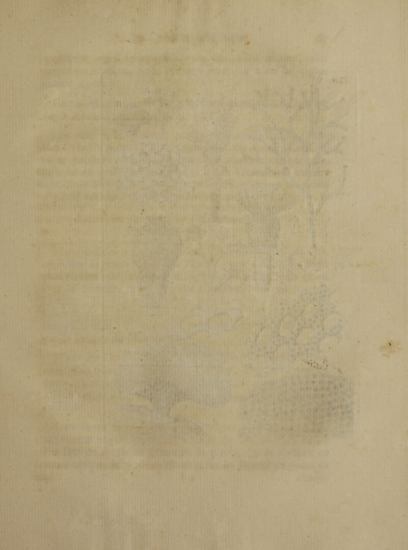 r. #. *■ ,r 1 J F « t • / - ,*? V- V . , -- V « * . : .. - ^ {rf >/■• ' \ r \ * - - • ‘M ? - ’ . > 1 ' . . ’ i ■ •o.. ♦ « ■ ?■• <* 4* ~ M '• ■ ' *