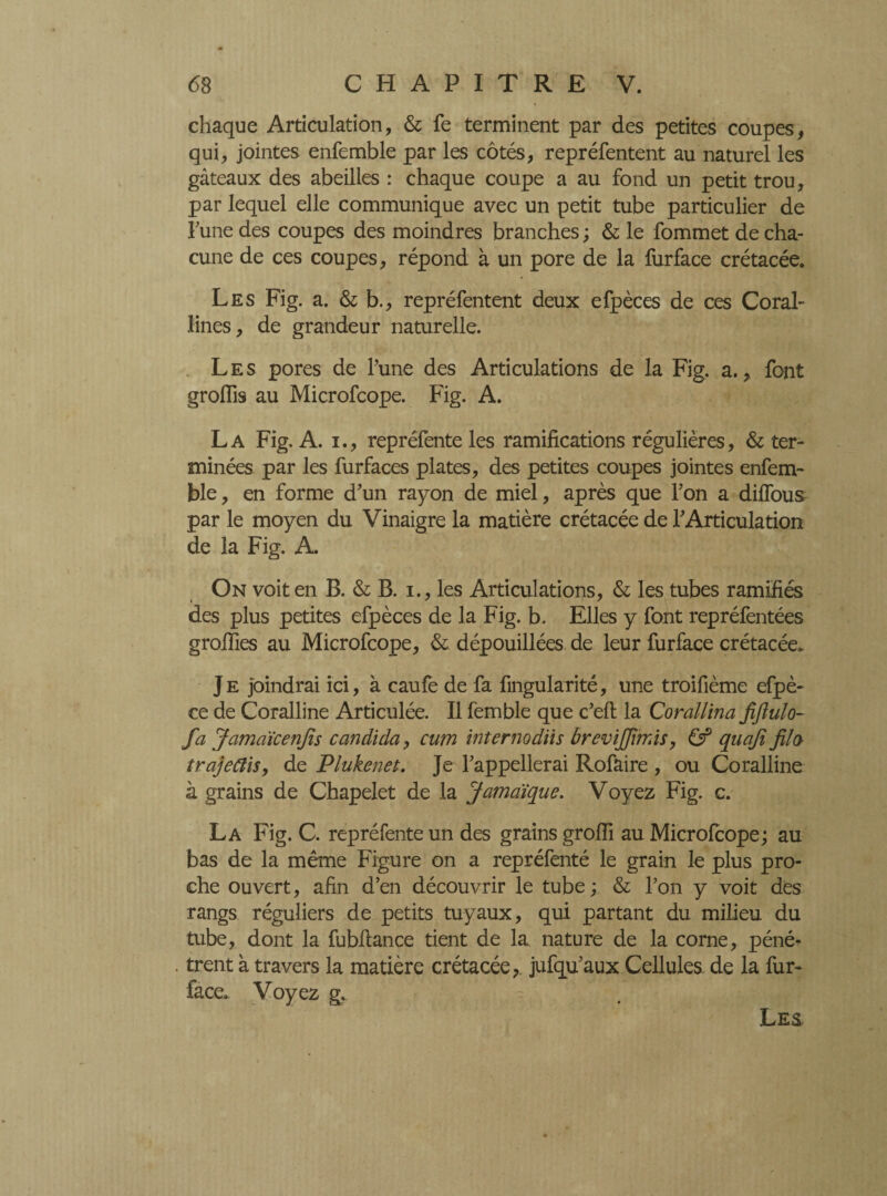 chaque Articulation, & fe terminent par des petites coupes, qui, jointes enfemble par les côtés, repréfentent au naturel les gâteaux des abeilles : chaque coupe a au fond un petit trou, par lequel elle communique avec un petit tube particulier de Tune des coupes des moindres branches ; & le fommet de cha¬ cune de ces coupes, répond à un pore de la furface crétacée. Les Fig. a. & b., repréfentent deux efpèces de ces Coral¬ lines, de grandeur naturelle. Les pores de l’une des Articulations de la Fig. a., font groiïis au Microfcope. Fig. A. La Fig. A. i., repréfente les ramifications régulières, & ter¬ minées par les furfaces plates, des petites coupes jointes enfem¬ ble , en forme d’un rayon de miel, après que l’on a diffous par le moyen du Vinaigre la matière crétacée de l’Articulation de la Fig. A. On voit en B. & B. i., les Articulations, & les tubes ramifiés des plus petites efpèces de la Fig. b. Elles y font repréfentées grolfies au Microfcope, & dépouillées de leur furface crétacée* Je joindrai ici, à caufe de fa fingularité, une troifième efpè- ce de Coralline Articulée. Il femble que c’eft la Corallina fiftulo- fa Jamaïcenfis Candida, cum internodiis brevijfimis, Cf quaji fila trajeûis, de Plukenet. Je l’appellerai Rofaire , ou Coralline à grains de Chapelet de la Jamaïque. Voyez Fig. c. La Fig. C. repréfente un des grains grolfi au Microfcope; au bas de la même Figure on a repréfenté le grain le plus pro¬ che ouvert, afin d’en découvrir le tube ; & l’on y voit des rangs réguliers de petits tuyaux, qui partant du milieu du tube, dont la fubftance tient de la nature de la corne, péné¬ trent à travers la matière crétacée, jufqu’aux Cellules, de la fur- face* Voyez g. Les