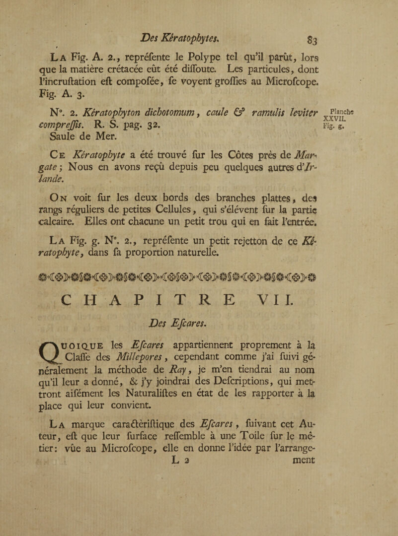 Des Kêratophytes. S3 i La Fig. A. 2., repréfente le Polype tel qu’il parût, lors que la matière crétacée eût été dilïoute. Les particules, dont l’incruftation eft compofée, fe voyent groffies au Microfcope. Fig. A. 3. N°. 2. Kêratophyton dichotomum, cauîe & ramulis ïéviter eompreffis. R. S. pag. 32. Saule de Mer. C E Kêratophyte a été trouvé fur les Côtes près de Mar- gate ; Nous en avons reçû depuis peu quelques autres d'Ir¬ lande. On voit fur les deux bords des branches plattes, des rangs réguliers de petites Cellules, qui s’élèvent fur la partie calcaire. Elles ont chacune un petit trou qui en fait l’entrée. La Fig. g. N°. 2.y repréfente un petit rejetton de ce Kê¬ ratophyte} dans fa proportion naturelle. CHAPITRE VII. Des Efcares. Qüoiq_ue les Efcares appartiennent proprement à la Claffe des Milïepores, cependant comme j’ai fuivi gé¬ néralement la méthode de Ray, je m’en tiendrai au nom qu’il leur a donné, & j’y joindrai des Defcriptions, qui met¬ tront aifément les Naturaliftes en état de les rapporter à la place qui leur convient. La marque cara&èriftique des Efcares, fuivant cet Au¬ teur, ell que leur furface relTemble à une Toile fur le mé¬ tier: vûe au Microfcope, elle en donne l’idée par l’arrange- L 2 ment Planche XXVII. Fig- g*