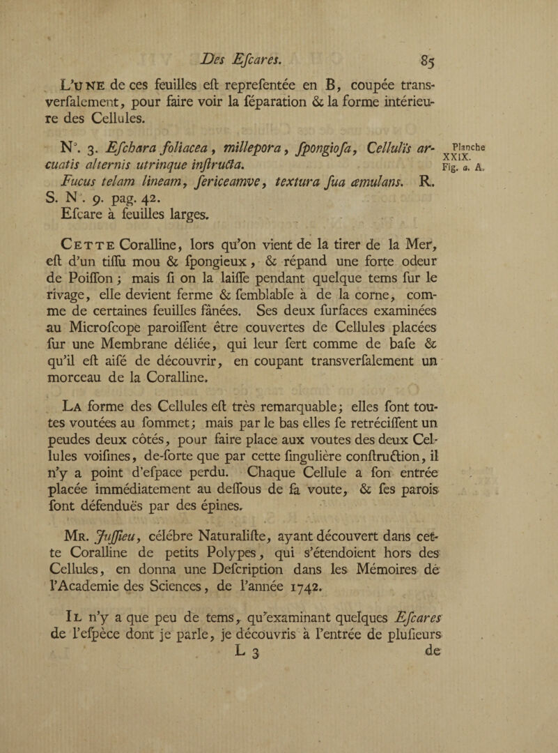 L'une de ces feuilles eft reprefentée en B, coupée trans- verfalement, pour faire voir la réparation &la forme intérieu¬ re des Cellules. N °. 3. Efch ara foliacé a y millepora, fpongiofa, Cellulïs ar- x|J^nche cuatïs altérais utrinque inflruCla. Fig. a. a. Fucus tel am lineamy fericeamve, textura fua cemulans. R. S. N . 9. pag. 42. Efcare à feuilles larges. Cette Coralline, lors qu'on vient de la tirer de la Mer, eft d'un tiflu mou & fpongieux, & répand une forte odeur de Poiffon ; mais fi on la laifïe pendant quelque tems fur le rivage, elle devient ferme & femblable à de la corne, com¬ me de certaines feuilles fanées. Ses deux furfaces examinées au Microfcope paroiftent être couvertes de Cellules placées fur une Membrane déliée, qui leur fert comme de bafe & qu'il eft aifé de découvrir, en coupant transverfalement un morceau de la Coralline. * I A ’ 1 ? La forme des Cellules eft très remarquable ; elles font tou¬ tes voûtées au fommet ; mais par le bas elles fe retréciflent un peudes deux côtés, pour faire place aux voûtes des deux Cel¬ lules voifines, de-forte que par cette fingulière conftruélion, il n'y a point d’efpace perdu. Chaque Cellule a fon entrée placée immédiatement au defibus de fa voûte, & fes parois font défendues par des épines. » f * s ' .  >». •*- frit /- • +- * . . fr •„» • •* *•* Mr. Jujfieuy célébré Naturalifte, ayant découvert dans cet¬ te Coralline de petits Polypes , qui s'étendoient hors des Cellules, en donna une Defcription dans les Mémoires dé l’Academie des Sciences, de l'année 1742. Il n’y a que peu de tems,. qu'examinant quelques Efcares de l’efpèce dont je parle, je découvris à l’entrée de plufieurs L 3 de