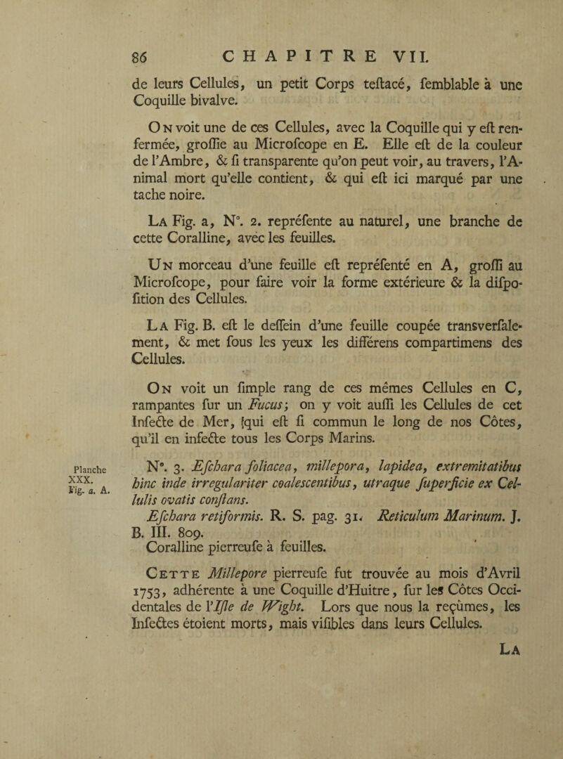 Planche XXX. Fig. a. A. de leurs Cellules, un petit Corps teftacé, femblable à une Coquille bivalve. O n voit une de ces Cellules, avec la Coquille qui y eft ren¬ fermée, groftie au Microfcope en E. Elle eft de la couleur de F Ambre, & fi transparente qu’on peut voir, au travers, l’A¬ nimal mort quelle contient, & qui eft ici marqué par une tache noire. La Fig. a, N°. 2. repréfente au naturel, une branche de cette Coralline, avec les feuilles. Un morceau d’une feuille eft repréfenté en A, groïïï au Microfcope, pour faire voir la forme extérieure & la difpo- fition des Cellules. La Fig. B. eft le deflein d’une feuille coupée transverfale- ment, & met fous les yeux les différens compartimens des Cellules. On voit un fimple rang de ces mêmes Cellules en C, rampantes fur un Fucus; on y voit aufli les Cellules de cet lnfeéle de Mer, [qui eft fi commun le long de nos Côtes, qu’il en infedte tous les Corps Marins. N®. 3. Efchara foliacé a > mïllepora, lapide a, extremltatibus hinc vide irregulariter coalescentibus, utraquc fuperjîcie ex Cel- lulis ovatis conftans. Efchara rétif or mis. R. S. pag. 31, Reticulum Marinum. J. B. III. 809. Coralline pierreufe à feuilles. Cette Millepore pierreufe fut trouvée au mois d’Avril 1753, adhérente à une Coquille d’Huitre, fur les Côtes Occi¬ dentales de Yljle de Wight. Lors que nous la reçûmes, les Infe&es étoient morts, mais vifibles dans leurs Cellules. La