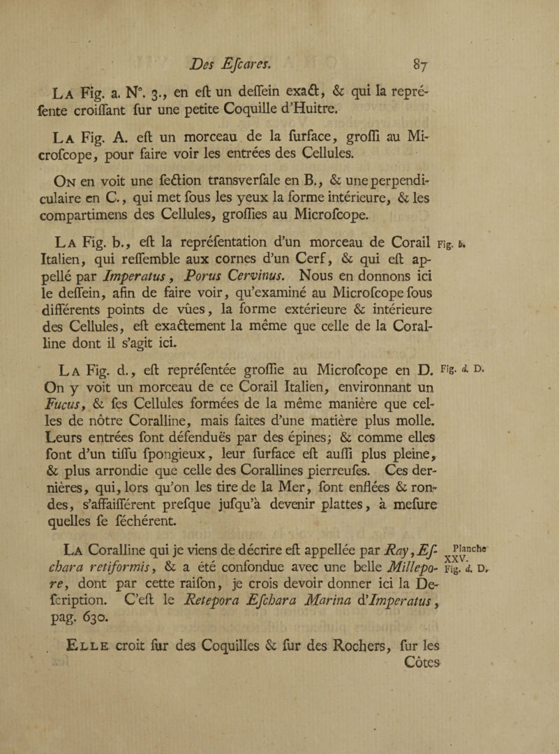 La Fig. a. N°. 3., en eft un deffein exadt, & qui la repré¬ fente croiffant fur une petite Coquille d’Huitre. La Fig. A. eft un morceau de la furface, groffi au Mi¬ crofcope, pour faire voir les entrées des Cellules. On en voit une fe&ion transverfale en B., & une perpendi¬ culaire en C., qui met fous les yeux la forme intérieure, & les compartimens des Cellules, groiïies au Microfcope. La Fig. b., eft la repréfentation d’un morceau de Corail Fig. &. Italien, qui reffemble aux cornes d’un Cerf, & qui eft ap- pellé par Imper at us, Porus Cervinus. Nous en donnons ici le deffein, afin de faire voir, qu’examiné au Microfcope fous différents points de vûes, la forme extérieure & intérieure des Cellules, eft exa&ement la même que celle de la Coral¬ line dont il s’agit ici. L A Fig. d., eft repréfentée grofîie au Microfcope en D. Fl's>d. On y voit un morceau de ce Corail Italien, environnant un Fucus, & fes Cellules formées de la même manière que cel¬ les de nôtre Coralline, mais faites d’une matière plus molle. Leurs entrées font défendues par des épines; & comme elles font d’un tiffu fpongieux, leur furface eft aufli plus pleine, & plus arrondie que celle des Corallines pierreufes. Ces der¬ nières, qui, lors qu’on les tire de la Mer, font enflées fron¬ des, s’affaifférent prefque jufqu’à devenir plattes, à mefure quelles fe féchérent. La Coralline qui je viens de décrire eft appellée par Ray,Ef x^nch* char a rétif or mis, & a été confondue avec une belle Millepa- Fig. d. d, re, dont par cette raifon, je crois devoir donner ici la De- feription. C’eft le Retepora Efchara Marina d7Imperatus, pag. 630. Elle croit fur des Coquilles & fur des Rochers, fur les Côtes