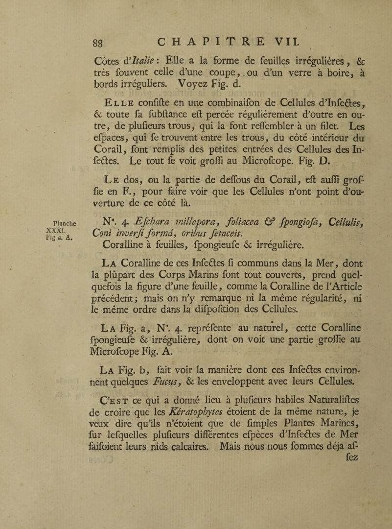 Planche XXXI. t’ig a. A. Côtes à*Italie : Elle a la forme de feuilles irrégulières, & très fouvent celle d’une coupe,.ou d’un verre à boire, à bords irréguliers. Voyez Fig. d. ' • • ' * ■* 7 * ; { ' ; A Elle confifte en une combinaifon de Cellules d’Infeétes, & toute fa fubflance efl percée régulièrement d’outre en ou¬ tre, de plufieurs trous, qui la font reffembler à un filet. Les efpaces, qui fe trouvent entre les trous, du côté intérieur du Corail, font remplis des petites entrées des Cellules des In- feétes. Le tout fe voit grofîi au Microfcope. Fig. D. Le dos, ou la partie de deffous du Corail, eft auffi grof- fie en F., pour faire voir que les Cellules n’ont point d’ou¬ verture de ce côté là. N°. 4. EJchara millepora, foliacé a & fpongiofa, Cellulis, Coni inverji fonnd, oribus fetaceis. Coralline à feuilles, fpongieufe & irrégulière. La Coralline de ces Infeéfes fi communs dans la Mer, dont la plûpart des Corps Marins font tout couverts, prend quel¬ quefois la figure d’une feuille, comme la Coralline de l’Article précédent; mais on n’y remarque ni la même régularité, ni le même ordre dans la difpofition des Cellules. La Fig. a, N°. 4. repréfente au naturel, cette Coralline fpongieufe & irrégulière, dont on voit une partie groffie au Microfcope Fig. A. La Fig. b, fait voir la manière dont ces Infeéles environ¬ nent quelques Fucus, & les enveloppent avec leurs Cellules. C’est ce qui a donné lieu à plufieurs habiles Naturalises de croire que les Kératophytes étoient de la même nature, je veux dire qu’ils n’étoient que de fimples Plantes Marines, fur lefquelles plufieurs différentes efpèces d’Infeétes de Mer faifoient leurs nids calcaires. Mais nous nous fommes déjà af- fez