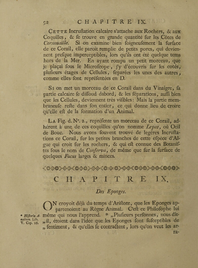 Cette Incruflation calcaire s’attache aux Rochers, & aux Coquilles, & fe trouve en grande quantité fur les Côtes de Cornouaille. Si on examine bien foigneufement la furface de ce Corail, elle paroit remplie de petits pores, qui devien¬ nent prefque imperceptibles, lors qu’ils ont été quelque tems hors de la Mer. En ayant rompu un petit morceau, que je plaçai fous le Microfcope, j’y d’écouvris fur les cotés, plufieurs étages de Cellules, feparées les unes des autres, comme elles font repréfentées en D. Si on met un morceau de ce Corail dans du Vinaigre, fa partie calcaire fe difloud dabord, & les féparations, auffi bien que les Cellules, deviennent très vifibles: Mais la partie mem- braneufe relie dans fon entier, ce qui donne lieu de croire qu’elle efb de la formation d’un Animal. La Fig. d. N°. 2., repréfente un morceau de ce Corail, ad¬ hérent. à une de ces coquilles qu’on nomme Lepas, où Oeil de Bouc. Nous avons fouvent trouvé de légères Incrufla- tions ce Corail, fur les petites branches de cette efpèce d’Al¬ gue qui croit fur les rochers, & qui eft connue des Botanif- tes fous le nom de Conferva, de même que lur la furface de quelques Fucus larges & minces. CHAPITRE IX. Des Eponges. ON croyoit déjà du temps d’Arillote, que les Eponges ap- partenoient au Règne Animal. C’ell ce Philofophe lui * Hijioria a- même qui nous l’apprend. ** „Plufieurs perfonnes, nous dit- vfcap.Li6. » étoient dans l’idée que les Eponges font fufceptibles de „ fentiment, & qu’elles fe contractent, lors qu’on veut les ar- ra-