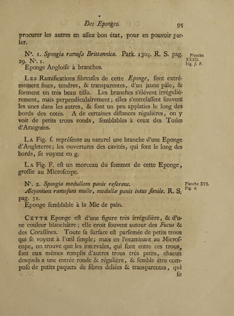 procurer les autres en allez bon état, pour en pouvoir par¬ ler. N8. 1. Spongia ramofa Brittannica. Park. 1304. R. S. pag. 29. N°. 1. Eponge Angloife à branches. Les Ramifications fibreufes de cette Eponge, font extrê¬ mement fines, tendres, & transparentes, d’un jaune pâle, & forment un très beau tiffu. Les branches s’élèvent irréguliè¬ rement, mais perpendiculairement; elles s’entrelalfent fouvent les unes dans les autres, & font un peu applaties le long des bords des cotés. A de certaines diflances régulières, on y voit de petits trous ronds, fembiables à ceux des Toiles d’Araignées. La Fig. f. repréfente au naturel une branche d’une Eponge d’Angleterre ; les ouvertures des cavités, qui font le long des bords, fe voyent en g. La Fig. F. eft un morceau du fommet de cette Eponge, grolfie au Microfcope. N°. 2. Spongia me dull am pants ref evens, Alcyonium ramofum molle, medulla pants intus Jimile. R. S. pag. 31. Eponge femblable à la Mie de pain. Cette Eponge eft d’une figure très irrégulière, & d’u¬ ne couleur blanchâtre ; elle croit fouvent autour des Fucus & des Corallines. Toute fa furface eft parfemée de petits trous qui le voyent à l’œil fimple; mais en l’examinant au Microf* cope, on trouve que les intervales, qui font entre ces trous y font eux mêmes remplis d’autres trous très petits, chacun desquels a une entrée ronde & régulière, & femble être corn- pofé de petits paquets de fibres déliées & transparentes, qui fe Planche XXXII. Fig. /. F, / Planche XVI. Fig. d.