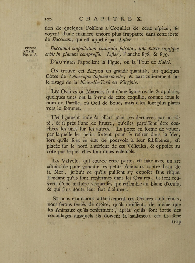 Planche XXXIII. Fig. a. A. tion de quelques Poiffons a Coquilles de cette efpèce, fe voyent d'une manière encore plus frappante dans cette forte de Buccinum, qui eft appellé par Lifter Buccinum ampullatum clavicuïa fui cat a, una parte cujufque orbis in planum compreffa. Lifter, Planche 878. & 879. D'autres l’appellent la Figue, ou la Tour de Babel. On trouve cet Alcyon en grande quantité, fur quelques Côtes de Y Amérique Septentrionale, & particulièrement fur le rivage de la Nouvelle-Tork en Virginie. Les Ovaires ou Matrices font d'une figure ovale & applatie; quelques unes ont la forme de cette coquille, connue fous le nom de Patelle, où Oeil de Bouc, mais elles font plus plates vers le fommet. Un ligament rude & pliant joint ces dernières par un cô¬ té, & fi près l'une de l'autre, qu'elles paroiffent être cou¬ chées les unes fur les autres. La porte en forme de voûte, par laquelle les petits fortent pour fe retirer dans la Mer, lors qu'ils font en état de pourvoir à leur fubfiftence, eft placée fur le bord antérieur de ces Véficules, & oppofée au côté par lequel elles font unies enfemble. La Valvule, qui couvre cette porte, eft faite avec un art admirable pour garantir les petits Animaux contre l'eau Ede la Mer, jufqu’a ce qu'ils puiffent s'y expofer fans rifque. Pendant qu'ils font renfermés dans les Ovaires, ils font cou¬ verts d’une matière visqueufe, qui relfemble au blanc d’œufs, & qui fans doute leur fert d’aliment. Si nous examinons attentivement ces Ovaires ainfi réunis, nous ferons tentés de croire, qu'ils croiffent, de même que les Animaux qu'lis renferment, après qu'ils font fords des coquillages auxquels ils doivent la naiftance > car ils font trop