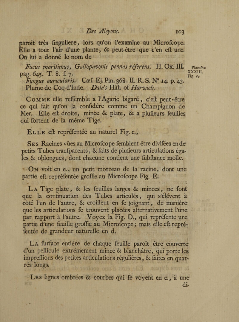 paroit très fmguliere, lors qu’on l’examine au Microfcope. Elle a tout l’air d’une plante, & peut-être que c’en eft une. On lui a donné le nom de Fucus maritimuSy Gallopavonis pennas referons. H. Ox. III. pag. 645. T. 8. f. 7. Fungus auricularis. Cæf. Ej.Pin. 368. II. R. S. N° 14. p. 43. Plume de Coq-d’Inde. Dale's Hid. of Harwich. Planche XXX1I1. Fig- Comme elle relfemble a 1’Agaric bigaré, c’eft peut-être ce qui fait qu’on la confidére comme un Champignon de Mer. Elle eft droite, mince & plate, & a pluüeurs feuilles qui fortent de la même Tige. Elle eft repréfentée au naturel Fig. c.. Ses Racines vues au Microfcope femblent être divifées en de petits Tubes tranfparents, & faits de plufieurs articulations éga¬ les & oblongues, dont chacune contient une fubftance molle. On voit en e., un petit morceau de la racine, dont une partie eft repréfentée groflie au Microfcope Fig. E. La Tige plate, & les feuilles larges & minces, ne font que la continuation des Tubes articulés, qui s’élèvent à côté l’un de l’autre, & croiflent en fe joignant, de manière que les articulations fe trouvent placées alternativement l’une par rapport à l’autre. Voyez la Fig. D., qui repréfente une partie d’une feuille groflie au Microfcope ; mais elle eft repré¬ fentée de grandeur naturelle en d. — • ■ La furface entière de chaque feuille paroît être couverte d’un pellicule extrêmement mince & blanchâtre, qui porte les impreflions des petites articulations régulières, & faites en quar- rés longs. Les lignes ombrées & courbes qui fe voyent en c., à une di-