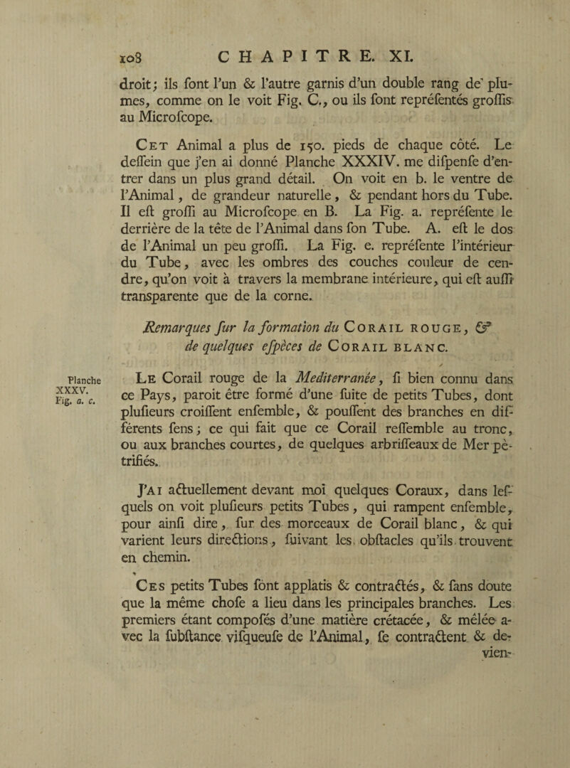 Planche XXXV. Fig. a. c. droit ; ils font l’un & l’autre garnis d’un double rang de’ plu¬ mes, comme on le voit Fig. C., ou ils font repréfentés groffis au Microfcope. Cet Animal a plus de 150. pieds de chaque côté. Le delfein que j’en ai donné Planche XXXIV. me difpenfe d’en¬ trer dans un plus grand détail. On voit en b. le ventre de l’Animal, de grandeur naturelle , & pendant hors du Tube. Il eft groiïi au Microfcope en B. La Fig. a. repréfente le derrière de la tête de l’Animal dans fon Tube. A. eft le dos de l’Animal un peu groffi. La Fig. e. repréfente l’intérieur du Tube, avec les ombres des couches couleur de cen¬ dre, qu’on voit à travers la membrane intérieure, qui eft aufîl transparente que de la corne. Remarques fur la formation ^/Corail rouge, de quelques efpèces de Corail blanc. Le Corail rouge de la Mediterranée, fi bien connu dans ce Pays, paroit être formé d’une fuite de petits Tubes, dont plufieurs croiffent enfembie, & pouffent des branches en dif-' férents fens ; ce qui fait que ce Corail reffemble au tronc, ou aux branches courtes, de quelques arbriffeaux de Mer pé¬ trifiés. J’Ai actuellement devant moi quelques Coraux, dans lef- quels on voit plufieurs petits Tubes, qui rampent enfembie y pour ainfi dire, fur des morceaux de Corail blanc, & qui varient leurs directions , fuivant les, obftacles qu’ils trouvent, en chemin. Ces petits Tubes font applatis & contractés, & fans doute que la même chofe a lieu dans les principales branches. Les premiers étant compofés d’une matière crétacée, & mêlée a- vec la fubftance vifqueufe de l’Animal, fe contractent & de¬ viez*