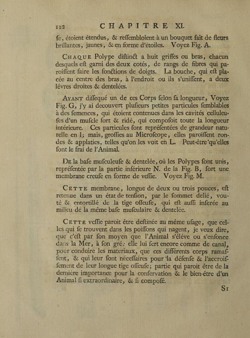 fe, étaient étendus, & reffembloient à un bouquet fait de fleurs brillantes, jaunes, & en forme d’étoiles. Voyez Fig. A. Chaque Polype diftinét a huit griffes ou bras, chacun desquels eft garni des deux cotés, de rangs de fibres qui pa¬ rodient faire les fondions de doigts. La bouche, qui eft pla¬ cée au centre des bras, à l’endroit ou ils s’uniffent, a deux lèvres droites & dentelées. Ayant diffequé un de ces Corps félon fa longueur, Voyez Fig. G, j’y ai découvert plufieurs petites particules femblables à des femences, qui étaient contenues dans les cavités celluleu- fes d’un mufcle fort & ridé, qui compofoit toute la longueur intérieure. Ces particules font repréfentées de grandeur natu¬ relle en 1; mais, groflies au Microfcope, elles paroiffent ron¬ des & applaties, telles qu’on les voit en L. Peut-être'qu’elles font le frai de l’Animal. De la bafe mufculeufe & dentelée, où les Polypes font unis, repréfentée par la partie inférieure N. de la Fig. B, fort une membrane creufe en forme de veflie. Voyez Fig. M. Cette membrane, longue de deux ou trois pouces, eft retenue dans un état de tenfion, par le fommet délié, voû¬ té & entortillé de la tige offeufe, qui eft aufli inferée au milieu de la même bafe mufculaire & dentelée. Cette veflie paroit être deftinée au même ufage, que cel¬ les qui fe trouvent dans les poiffons qui nagent, je veux dire, que c’eft par fon moyen que l’Animal s’élève ou s’enfonce dans la Mer, à fon gré: elle lui fert encore comme de canal, pour conduire les matériaux, que ces différents corps ramaf- fent, & qui leur font néceffaires pour ‘la défenfe & l’accroif- fement de leur longue tige offeufe ; partie qui paroit être de la dernière importance pour la confervation & le bien-être d’un Animal fi extraordinaire, &; fi compofé. Si t