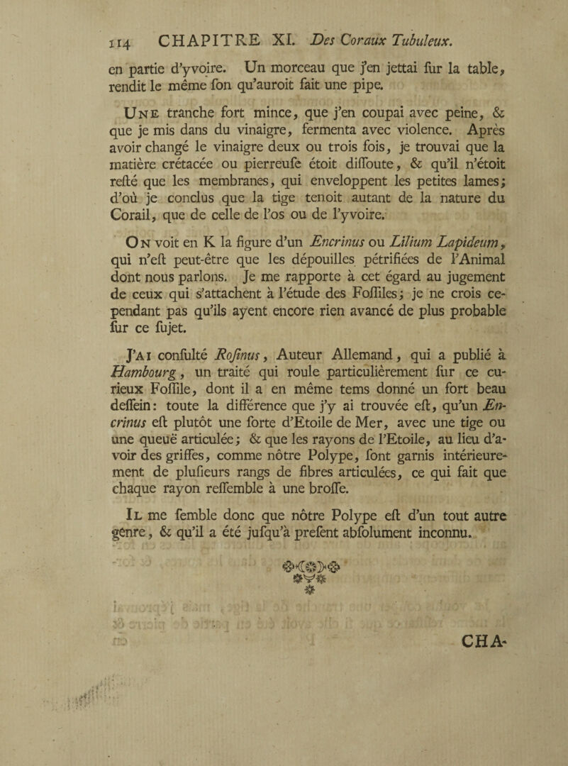 H4 CHAPITRE XL Des Coraux Tubuleux. en partie d'y voire. Un morceau que j’en jettai fur la table, rendit le même fon qu’auroit fait une pipe. Une tranche fort mince, que j’en coupai avec peine, & que je mis dans du vinaigre, fermenta avec violence. Après avoir changé le vinaigre deux ou trois fois, je trouvai que la matière crétacée ou pierreufe étoit diffoute, & qu’il n’étoit relié que les membranes, qui enveloppent les petites lames; d’où je conclus que la tige tenoit autant de la nature du Corail, que de celle de l’os ou de l’y voire. O N voit en K la figure d’un Encrinus ou L'ilium Lapideum , qui n’ell peut-être que les dépouilles pétrifiées de l’Animal dont nous parlons. Je me rapporte à cet égard au jugement de ceux qui s’attachent à l’étude des Fofiiles ; je ne crois ce¬ pendant pas qu’ils ayent encore rien avancé de plus probable fur ce fujet. J’Ai confulté Rojinus, Auteur Allemand, qui a publié à Hambourg, un traité qui roule particulièrement fur ce cu¬ rieux Fofiile, dont il a en même tems donné un fort beau deffein: toute la différence que j’y ai trouvée efl, qu’un En¬ crinus efl plutôt une forte d’Etoile de Mer, avec une tige ou une queue articulée ; & que les rayons de l’Etoile, au lieu d’a¬ voir des griffes, comme nôtre Polype, font garnis intérieure¬ ment de plufieurs rangs de fibres articulées, ce qui fait que chaque rayon reffemble à une broffe. Il me femble donc que nôtre Polype efl d’un tout autre genre, & qu’il a été jufqu’à prefent abfolument inconnu. CHA-