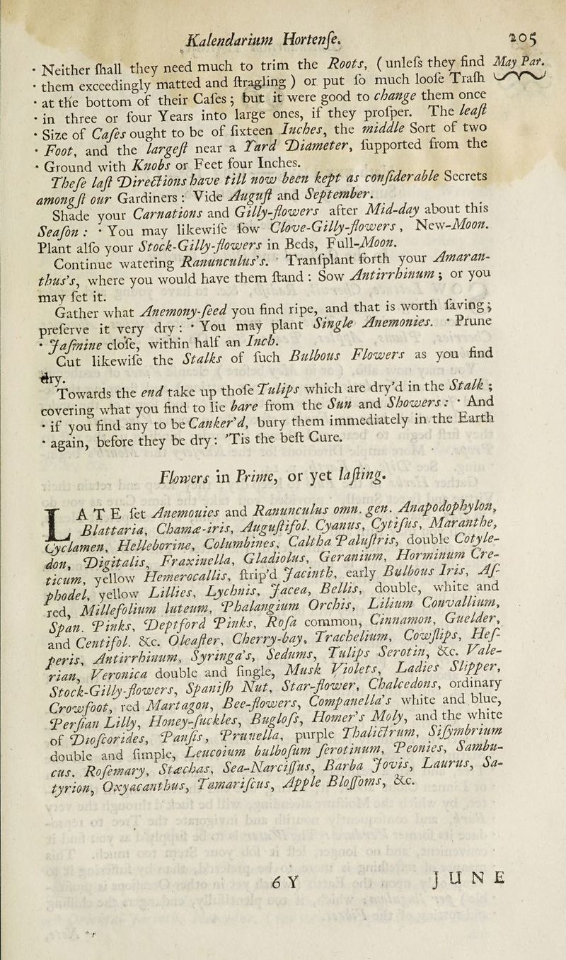 • Neither fhall they need much to trim the Roots, (unlefs fin5| • them exceedingly matted and ftragling ) or put fo much looie Trafh • at the bottom of their Cales; but it were good to change them once • in three or four Years into large ones, if they profper. TheAeafl • Size of Cafes ought to be of fixteen Inches, the middle Sort of two • Foot, and the largeft near a Tard Diameter, fupported from the • Ground with Knobs or Feet four Inches. Thcfe laft Directions have till now been kept as conjiderable Secrets among ft our Gardiners: Vide Augnft and September Shade your Carnations and Gilly-flowers after Mtd-day about this Seafon : : You may likewife fow Clove-Gilly-flowers, New-Moon. Plant alfo your Stock-Gilly-flowers in Beds, FuW-Moon. Continue watering Ranunculus's. ' Tranfplant forth your Amaran- thus’s, where you would have them Hand : Sow Antirrhinum ; or you may fet it. , , . , r . Gather what Anemony-feed you find ripe, and that is worth laving j preferve it very dry: • You may plant Single Anemomes. • Prune • Jafmine dole, within half an Inch. , Cut likewife the Stalks of fuch Bulbous Flowers as you find Towards the end take up thofe Tulips which are dry’d in the Stalk ; covering what you find to lie bare from the Sun and Showers : • And • if you find any to be Canker'd, bury them immediately in the Earth • again, before they be dry: ’Tis the belt Cure. Flowers in Frime, or yet lajiing. LATE fet Anemouies and Ranunculus omn. gen. Anapodophylon, Blattaria, Chama-iris, Auguftifol. Cyanus Cytifus Mar ant he. Cyclamen, Helleborine, Columbines, Caltha Raluftns, double Cotyle¬ don Digitalis, Fraxinella, Gladiolus, Geranium Hormmum Cre- ticum, yellow Hemerocallis, ftrip’d Jacinth, early Bulbous Iris, Af phodel, yellow Lillies, Lychnis, Jacea, Beilis, double, white and red Millefolium luteum, Rhalangmm Orchis, Lilmm Convallmm, Span. Rinks, Deptford Rinks, Rofa common, Cinnamon Guelder, and Centifol. SCc. Oleafter, Cherry-bay, Troche hum, Cowjlips, HeJ- Peris Antirrhinum, Syringa’s, Sedums, Tulips Sere tin SCc. I ale- *r,In Veronica double and fingle, Musk Violets Ladies Slipper, Stock-Gilly-flowers, Spanijh Nut, Star-flower, Chalcedons, ordinary Crowfoot, red Mart agon, Bee-flowers, Companella's white and blue, Rerfian Lilly, Honey-ftickles, Buglofs, Homer s Moly, and the white of Diofiorides, Ranfls, Rrunella, purple ThahCtrmn, Sifymbnum double and Ample, Leucoium bulbofum ferotiMum, Reonies, Sambu- cus. Rofern ary, Stachas, Sea-Narcifus, Barba Jovis, Laurus, Sa- tyrion, Oxyacanthus, Tamarifcus, Apple Blojfoms, &c. 6 Y j U N E