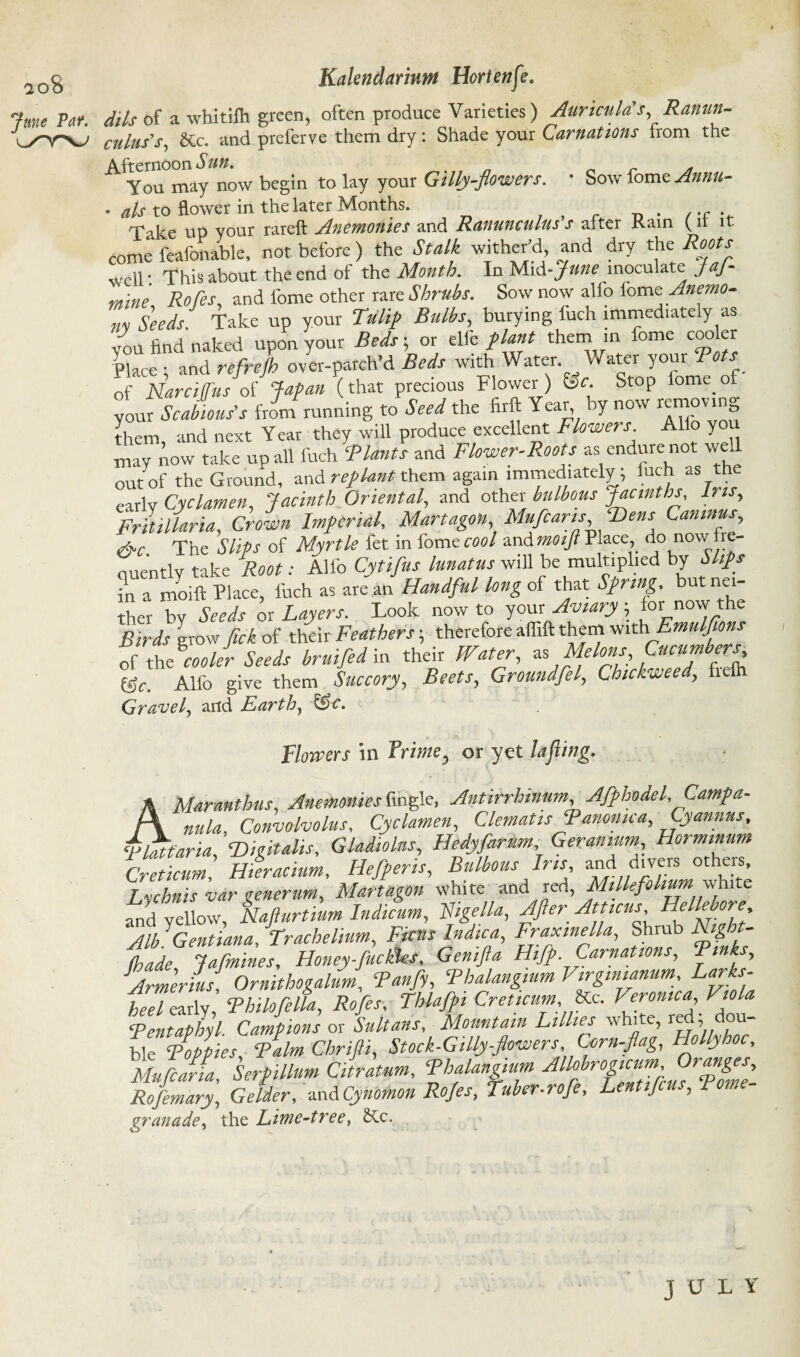 June Par. l/YNJ Kalendarintn Hortenfe. dils of a whitilh green, often produce Varieties) Auricula's, Ranun¬ culus's,, &c. and preferve them dry: Shade your Carnations from the AfYou°may now begin to lay your Gilly-flowers. • Sow fomeA» • als to flower in the later Months. Take up your rareft Anemonies and Ranunculus s alter Rain (it it. come feafonable, not before) the Stalk wither’d and dry the Roots weU • This about the end of the Month. In Mid -June inoculate jaj- mine Rofes, and feme other rare Shrubs. Sow now alio fomz Auemo- m Seeds, fake up your Tulip Bulbs, burying fuch immediately as you find naked upon your Beds; or elfe plant them in feme cooler Place • and refrejh over-patch’d Beds with Water, Water youi Tots of Narcijfus of Japan (that precious Flower) be. Stop fome.of your Scabious's from running to Seed the firft Year, by now removing them and next Year they will produce excellent Flowers Alio you may now take up all fuch ‘Plants and Flower-Roots as endure not well out of the Ground, and replant them again immediately; iuch as the earlv Cyclamen, Jacinth Oriental, and other bulbous Jacinths, Ins, Frliilaria, Crown Imperial, Martagon, Mufcaris Hens Canmus, &c The Slips of Myrtle fet in fome cool and moijl Place, do now le- ciuently take Root: Alfo Cytifus lunatus will be multiplied by Slips hr a moift Place, fuch as are an Handful long of that Spring, but nei¬ ther by Seeds or Layers. Look now to your Aviary; for itow the Birds grow fick of their Feathers; therefore affift them vnthEmulfans of thecooler Seeds bruifedin their Water, as Melons Cucumbers, be. Alfo give them Succory, Beets, Groundfel, Chickweed, fidh Gravel, artd Earth, &c. Flowers in Frimey or yet la fling. AMaranthus, Anemonies fingle, Antirrhinum Afphodel, Campa¬ nula, Convolvolus, Cyclamen, Clematis Pammca, Cyannus, -aria ‘Dhitalis, Gladiolus, Hedyfarum, Geranium, Hormmum Creticim] Huracium, Hefperis, Bulbous Iris and divers others. Lychnis var generum, Martagon white and red, Millefolium white and yellow, Nafturtium Indicum, figella, After Atticus Hgtb.°Z' Alb. Gentiana, Trachelium, Ficus Indtca, Fraxmella, Shrub Night- (hade Jafmines, Honey-fucktes, Genifta Hifp. Carnations, Tin s, Armerius, Ornithogahm, Tanfy, Tbalangium Virgmiamm, Larks- heel early, Thilofella, Rofes, Thlafpi Creticum &c. r'f.romcaftVg f ‘Pentaphyl Campions or Sultans, Mountain Lillies whi e, re , - ble Poppies Talm Cbrifti, Stock-Gilly-ftowers, Corn-flag, Hollyhoc, Mufcaria, Serpillum Citratum, Thalangiim Allobro^hFs^poFZ Rofemary, Gelder, -m&Cynomon Rofes, Tuber-rofe, Lentifcus, Ro,,e granade, the Lime-tree, Stc. JULY