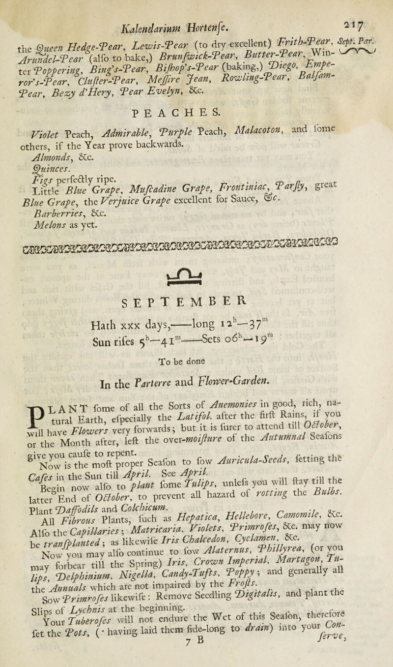the Queen Hedge-Tear, Lewis-Tear (to dry excellent) Frith-Tear SepVPar^ Armdel-Tear (alfo to bake,) Brunfwick-Tear, ButterVPearWin¬ ter Topperin<r, Bing’s-Tear, Bijhofs-Tear (baking,)Diego< Empi- ro/s-Tear, &Clufter-Tear, Meffire Jean, Rowling-Tear, Balfam- Tear, Bezy d'Hery, Tear Evelyn, $Cc. PEACHES. Violet Peach, Admirable, Turtle Peach, Malacoton, and ionic others, if the Year prove backwards. Almonds, 5Cc. Quinces. Lift! Vbhie Grape, Mufcadine Grape, Frontiniac Tarjly, great Grape, the Verjuice Grape excellent for Sauce, Barberries, &Lc. Melons as yet. SEPTEMBER -long i2h—37m —Sets o6h-* 19111 Hath xxx days,— Sunrifes 5^4 in To be done In the Parterre and Flower-Garden. PT A N T feme of all the Sorts of Anemonies in good, rich, na- tmal Earth elpecially the Latifol. after the hrft Rams if you have Flowers dry forwards; but it is furer to attend till October, or the Month after, left the ovn-moifture of the Autumnal Seaions ^Now^s the moft proper Seafon to fow Auricula-heeds, fettmg the ctZ twSu2in4S« S~&. ™ief.,»« - ».y latfer° End of Oclober, to prevent all hazard of rotting the Bulbs. ^f^mbrit Pkntt^focTas Hepatic a. Hellebore Camomile, 8Cc. Alfo the Capillaries; Matricaria. Violets, Trimrofes, &c. may now be transplanted; as likewife Iris Chdcedon, Cyclamen Kc. Now you may alfo continue to low Alaternus, Thillyrea, (or vo mav forbear till the Spring) Iris, Crown Imperial, Martagon Tu¬ lip] Delphinium, Nigella, Candy-Tufts, Toppy ; and geneiady all ‘Kit Slic) - ata *. w« of« *** fet the Tots, (• having laid them fide-long to dram) mto 7^^ 7 ^