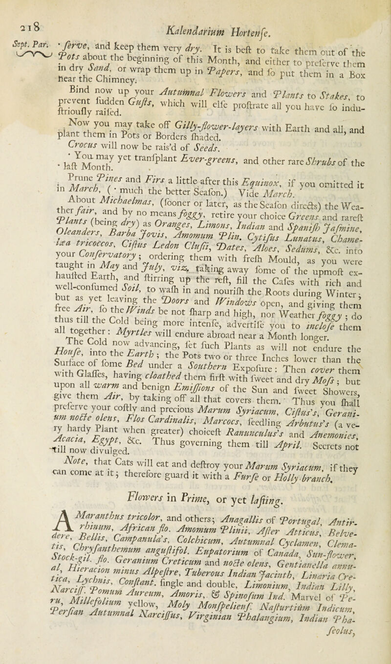 them vei7 ^ ^ bcft to take them out of the ■ a abr°UVhe beS'nnmS °f this Month, and either to preferve them L^hfc^r UP “ and f° PUt thcm in * Box Bmd now up your Autumnal Flowers and Plants to Stakes to ftrioufly Sid!1 A WiU dft Pr°ftrate a11 T™ have io indu- uia'^theymUinn-pyrtakeB°ff ?My-Jkwer.l«yerS with Earth and all, and plant them m Pots or Borders fhaded. Crocus will now be rais'd of Seeds. . liftMontf yCt tranfplant Ever-greens, and other rare Shrubs of the * T.T}weSCS and Firs a litt!e after this Equinox, if you omitted it CrCh'S ,mUch the better Seafon.) Vide March. ' therVlv MtCC:e,mas' (i°oner or later, as the Seafon direfts) the Wea- Tlants (bZt JY ?0 nteans/W’ retire your choice Greens and rareft Oblidr K CC5 °ran&es' Limans, Indian and Sfanijb Jafmine °*:tC;c*atC0TdAmzrS!in- c^us &*«**>Lme. * tricoccos- Ctfi«s Ledon Clufli, ‘Dates, Aloes, Sedums, &c. into tanlh? *^5 crdenng them with freih Mould, as you were haulledEmf a H JCy' ^ t!king aW3y fome of the uPm°ft ex¬ hausted Earth and ftirring up the reft, fill the Cafes with rich and well-confumed Sod, to walh in and nourilh the Roots during Winter ■ fre V r TZf-C and open, and giving them 1-CClnds be n0t aarp and high, nor Weather foegy 2 ‘ fLllPe °<i1 be;nS more intenfe, advertife you to tnchfd[hem * Thg p w' Myrtles will endure abroad near a Month longer. fhe Cold now advancing, lit fuch Plants as will not endure the Sutlce TfomcBeC C* T °r three Inches Iower th™ the vl nl w ^ Td7 a S°Mhe™ Expofure : Then cover them  ith Glalfes, having cloathed them full with fweet and dry Mods ■ but pon all warm and benign EmiJJions of the Sun and fweet Showers give them A,r by taking off all that covers them. Thus you ihaU prderve your coftly and precious Marum Syriacum, Ciftus's ^Gerani rvhxC pf 7 Fi°S Cardmalis' Marcocs, ftedling Arbutus's (a ve- AcaeiaYElZt nrT^ Ch°ICeft Ranunculud* and Anemonies, 4“; •—* tUI s™ »o, mC°te’ 'P-’ ^atL  eat atld deftroy your Marum Syriacum, if they tan come at it; therefore guard it with a Furfe or Holly-branch. 1 flowers ill Prime, or yet lofting. A Maranthus tricolor, and others; Anagallis of ‘Portugal Antir rBe’llC'cAfrCmllfl0' fT,” CPlinii' Jfier ^tticus, Belve- 7h'ct r CmPanulas-.Colch^um, Autumnal Cyclamen, Clema- t7kClfT0herm mgUCf0L Eu^omum of Canida, Sun-flower, al Weratn Z'Z™, ^ m3e °kns' Gentianella anm - tica Z22 ZSn AlCire; Tuber0US Indlan Jactnth, Linaria Cre- Narcilf P,Z ConA fing]e and double’ Limonium Indian Lilly, Z m )TC Hureum, Amoris, © Sfmoflum Ind. Marvel of Pe- ‘P'erflCAmuZnlCC' -¥°b Monfgeheufl Nafturtidm Indicum, rerjian Autumnal Narcijfus, Virginian Phalangium, Indian Tha- feolus,