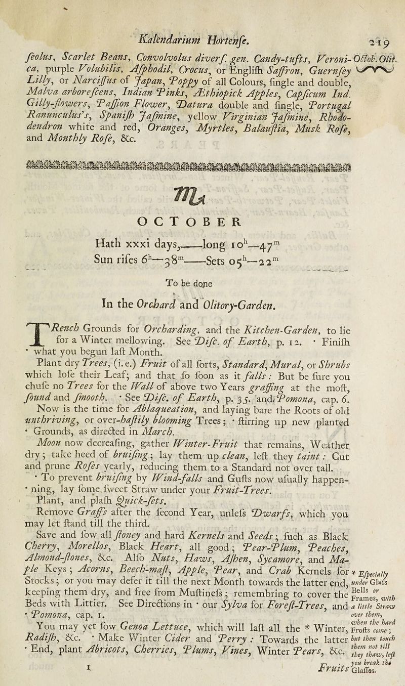 feolus, Scarlet Beans, Convolvolus diverf gen. Candy-tufts, Veroni-Offob.OUl ca, purple V0lubills, Aflphodil, Crocus, or Englilh Sajfron, Guernfey Lilly, or Narciffus of Japan, Poppy of all Colours, fingle and double, Malva arborefcens, AmW/ Pinks, AUthiopick Apples, Capficum Ind\ G illy-flowers, B affon Flower, Datura double and fingle, Portugal Ranunculus's, Spanijh ‘Jaflmine, yellow Virginian Jaflmine, Rhodo¬ dendron white and red, Oranges, Myrtles, Balauftia, Musk Rofe, and Monthly Rofe, &c. OCTOBER Hath xxxi days.,^—long ioh—47™ Sun rifes 6h—g8m-Sets 0511— To be do^ie ¥ In the Orchard and Olitory-Garden, TRench Grounds for Orcharding, and the Kitchen-Garden, to lie for a Winter mellowing. See Diflc. of Earth, p. 12. • Finiftt * what you begun laft Month. Plant dry Trees, (i. e.) Fruit of all forts, Standard, Mural, or Shrubs which lofe their Leaf; and that fo loon as it falls: But be fure you chufe no Trees for the Wall of above two Years grajfng at the moft, found and fmooth. • See Diflc. of Earth, p. 35, an^Pomona, cap. 6. Now is the time for Ablaqueation, and laying bare the Roots of old unthriving, or over-haftily blooming Trees; • Birring up new planted * Grounds, as directed in March. Moon now decreafing, gather Winter-Fruit that remains, Weather dry; take heed of bruifing; lay them up clean, left they taint: Gut and prune Rofes yearly, reducing them to a Standard not over tall. To prevent bruiflng by Wind-falls and Gufts now ufually happen** ’ ning, lay forne fweet Straw under your Fruit-Trees. Plant, and plaih ffluick-flets. Remove Graffs after the fecond Year, unlefs Dwarfs, which you may let ftand till the third. Save and low all ftoney and hard Kernels and Seeds ; fuch as Black Cherry, Morellos, Black Heart, all good; Pear-Plum, Peaches, AImond-ftones, &c. Alfo Nuts, Haws, AJhen, Sycamore, and Ma¬ ple Keys ; Acorns, Beech-maft, Apple, Pear, and Crab Kernels for * Efpeciaiiy Stocks; or you may defer it till the next Month towards the latter end, under Glafs keeping them dry, and free from Muftinefs; remembring to cover the with Beds with Littier. See Directions in * our Sylva for Foreft-Trees, and aihtie sL * Pomona, cap. I. over them, You may yet low Genoa Lettuce, which will laft all the * Winter, ‘fnPoP Radijh, 8Cc. * Make Winter Cider and Perry : Towards the latter hut then touch ■ End, plant Abricots, Cherries, T turns, Vines, Winter Tears, gtc. _ . you break ih* 1 Fruits Gkfles.