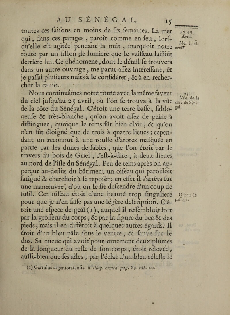 Avril. neuf^. * Vûe de îa côte du Séné¬ gal. A U S É N É G A L. 15 toutes ces faifons en moins de fix fèmaines. La mer qui, dans ces parages , paroît comme en feu , lorf- > n n. • ' ■ J • 1 • • Mer luml qu elle elt agitee pendant^la nuit , marquoit notre route par un fillon ^e lumière que le vailîeau laiflbit derrière lui. Ce phenomene, dont le detail le trouvera dans un autre ouvrage, me parut aflez interellànt, & je pafîài plufieurs nuits à le confidërer, ôc à en recher¬ cher la caule. Nous continuâmes notre routé avec la même faveur du ciel jufqu’aii 25 avril, où Ton fe trouva à la vûe de la côte du Se'nëgal. C^ëtoit une terre bafle, fablo- neulè & très-blanche , qifon avoir allez de peine à dillinguer, quoique le tems fût bien clair , & qu^on n’en fiit éloigné que de trois a quatre lieues : cepen¬ dant on reconnut a une touffe d’arbres mafquëe en partie par les dunes de fables , que l’on ëtoit par le travers du bois de Griel, c’efl-a-dire , a deux lieues au nord de l’ille du Sénégal. Peu de tems après on ap- perçut au-delTus du bâtiment un oifeau qui paroilfoic fatigue de cherchoit à fe repofer, en effet il s’arrêta fur une manœuvre’, d’où on le fit defeendre d’un coup de fufil. Cet oifeau ëtoit d’une beautë trop finguliere pour que je n’en faffe pas une lëgère defeription. C’ë- toit une efpece de geai (i), auquel il reflembloit fort par la grolfeur du corps, par la figure du bec & des pieds ^ mais il en differoit a quelques autres ëgards. Il ëtoit d’un bleu pâle fous le ventre , & fauve fur le dos. Sa queue qui avoifpour ornement deux plumes de la longueur du refte de fon corps , ëtoit relevëë ^ aufli-bien que fes ailes j par l’ëclat d’un bleu cëlefte le Oifeau ds paflage. (i) Garrulus argentoratenHs. Wülug, ornîth. pag. tah, 20.